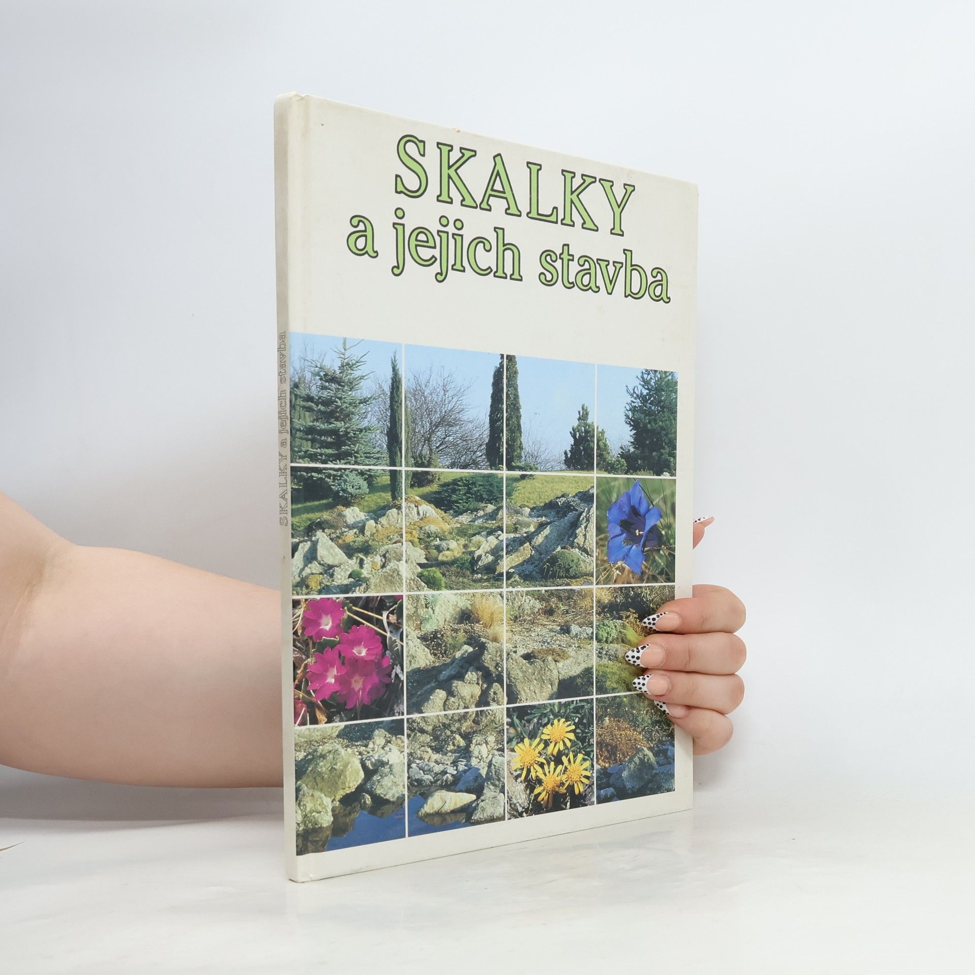 Vojtěch Holubec Skalky a jejich stavba