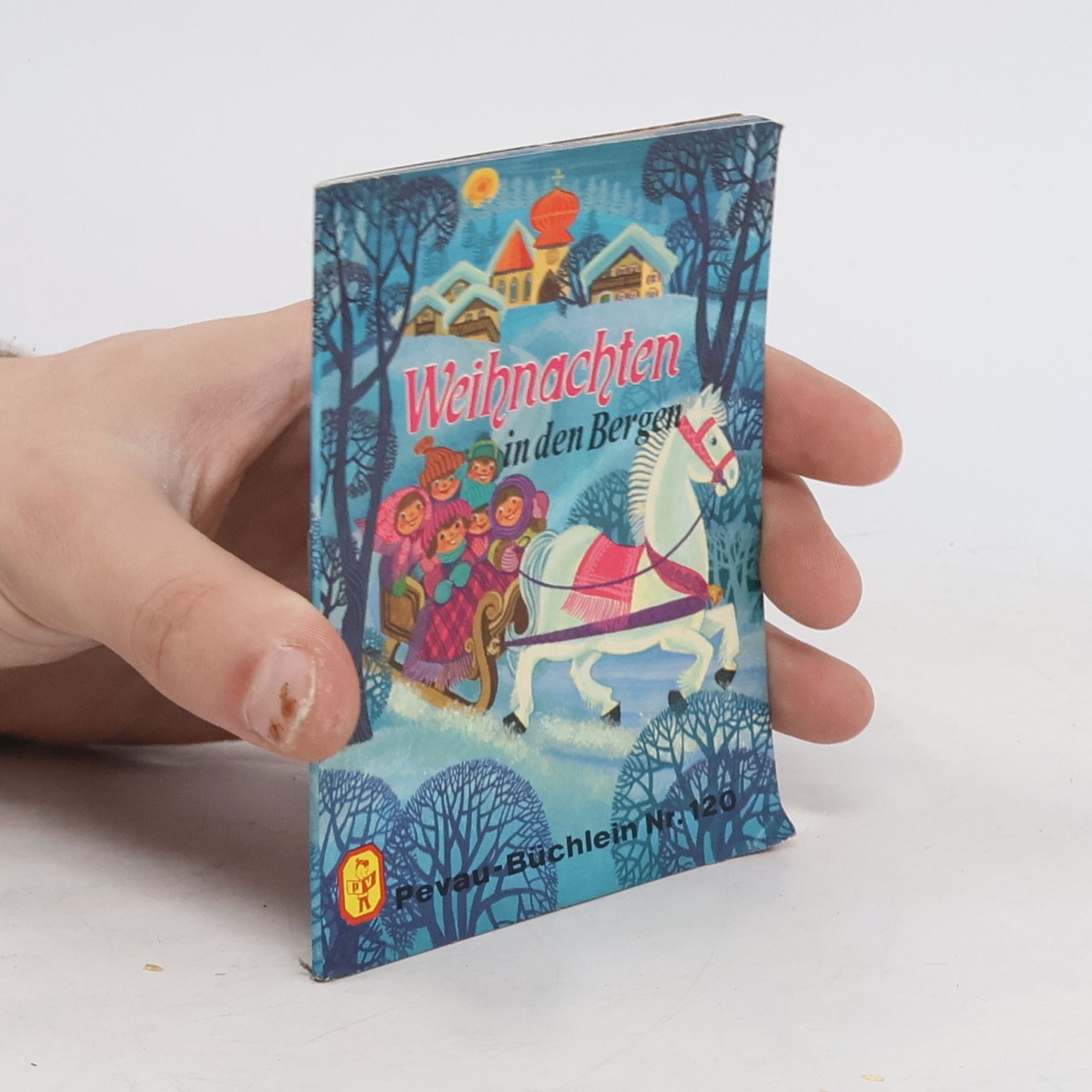 Auteurscollectief Weihnachten in den Bergen