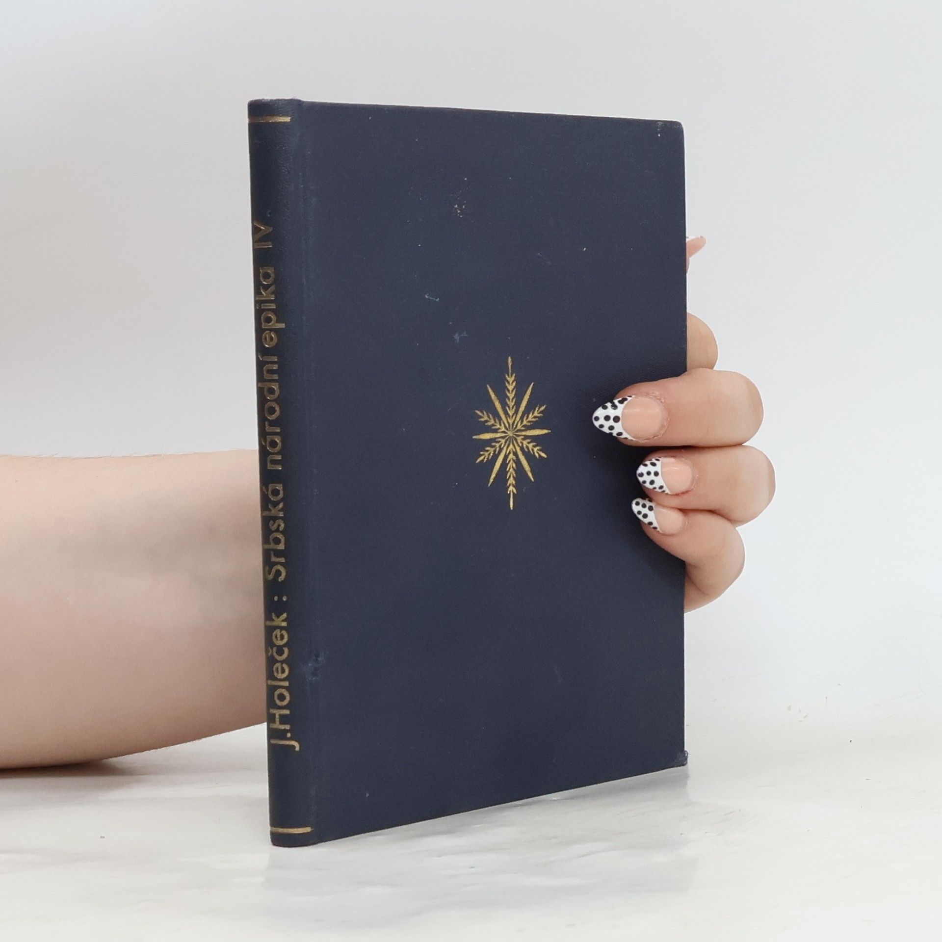 Josef Holeček Srbská národní epika IV.