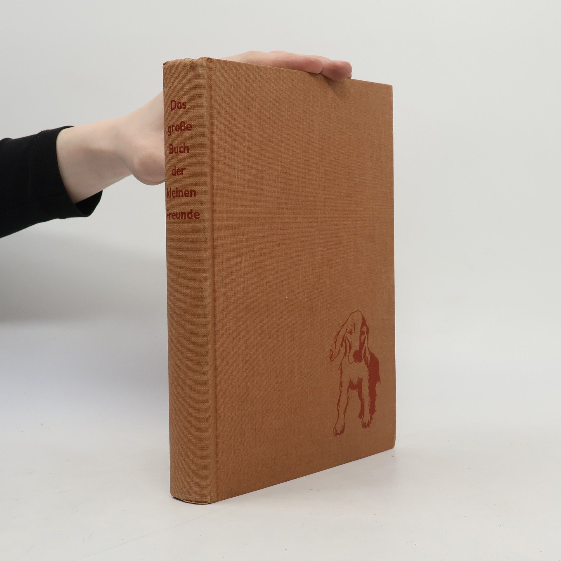 Kolektív autorov Das große Buch der kleinen Freunde