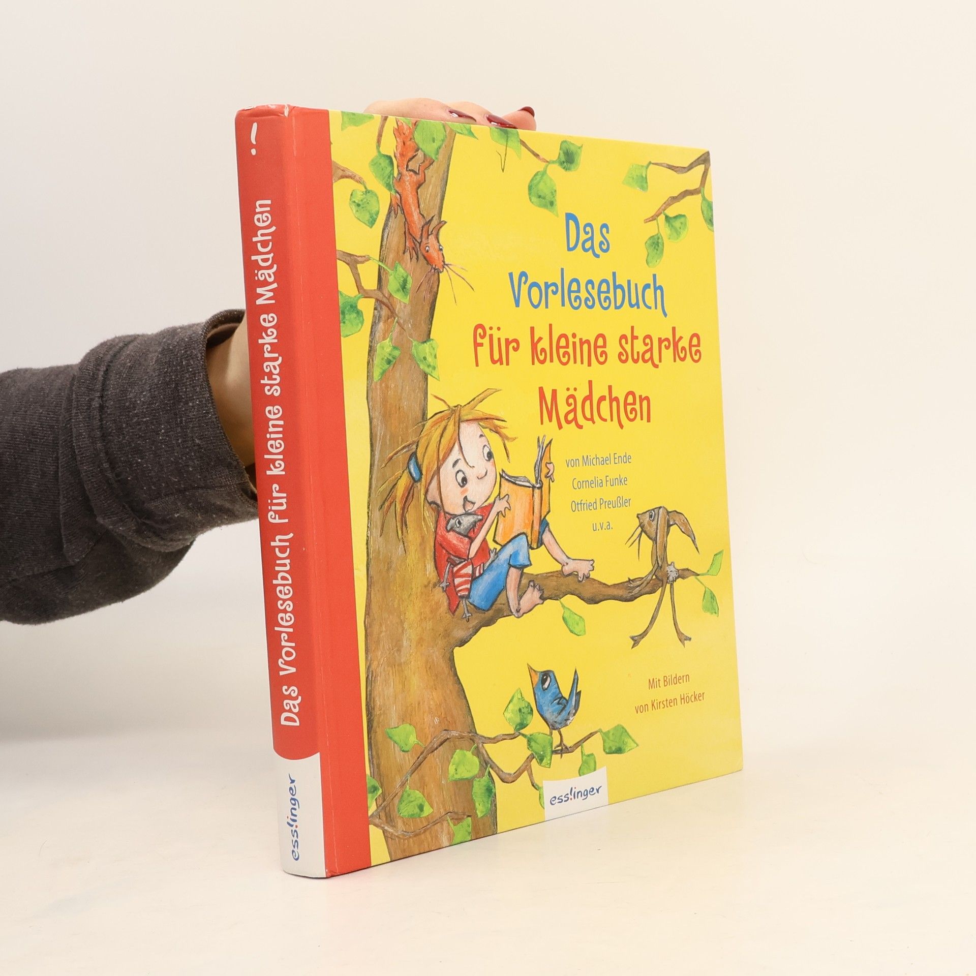 Kirsten Höcker Das Vorlesebuch für kleine starke Mädchen