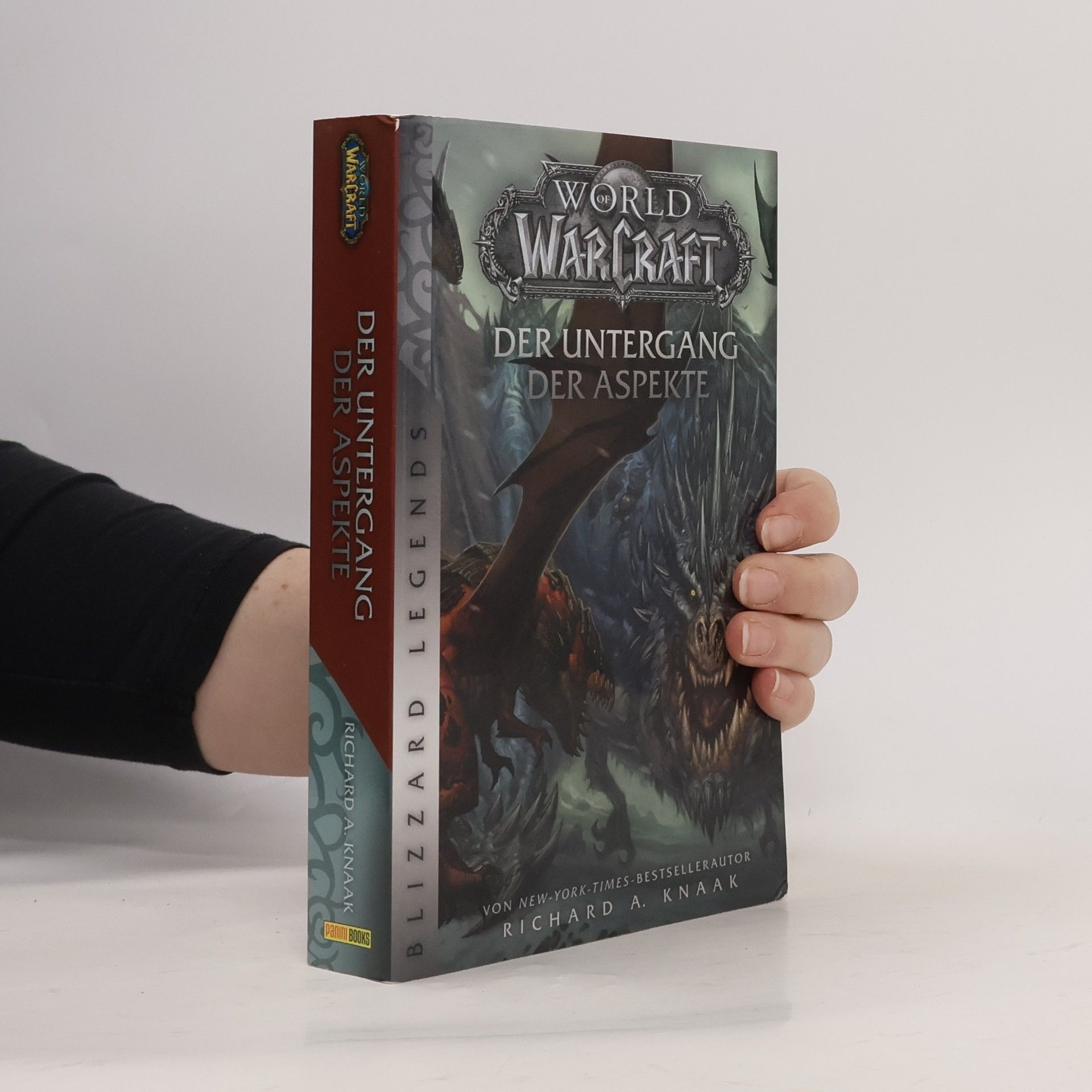 Richard A. Knaak Blizzard Legends: World of Warcraft - Der Untergang der Aspekte