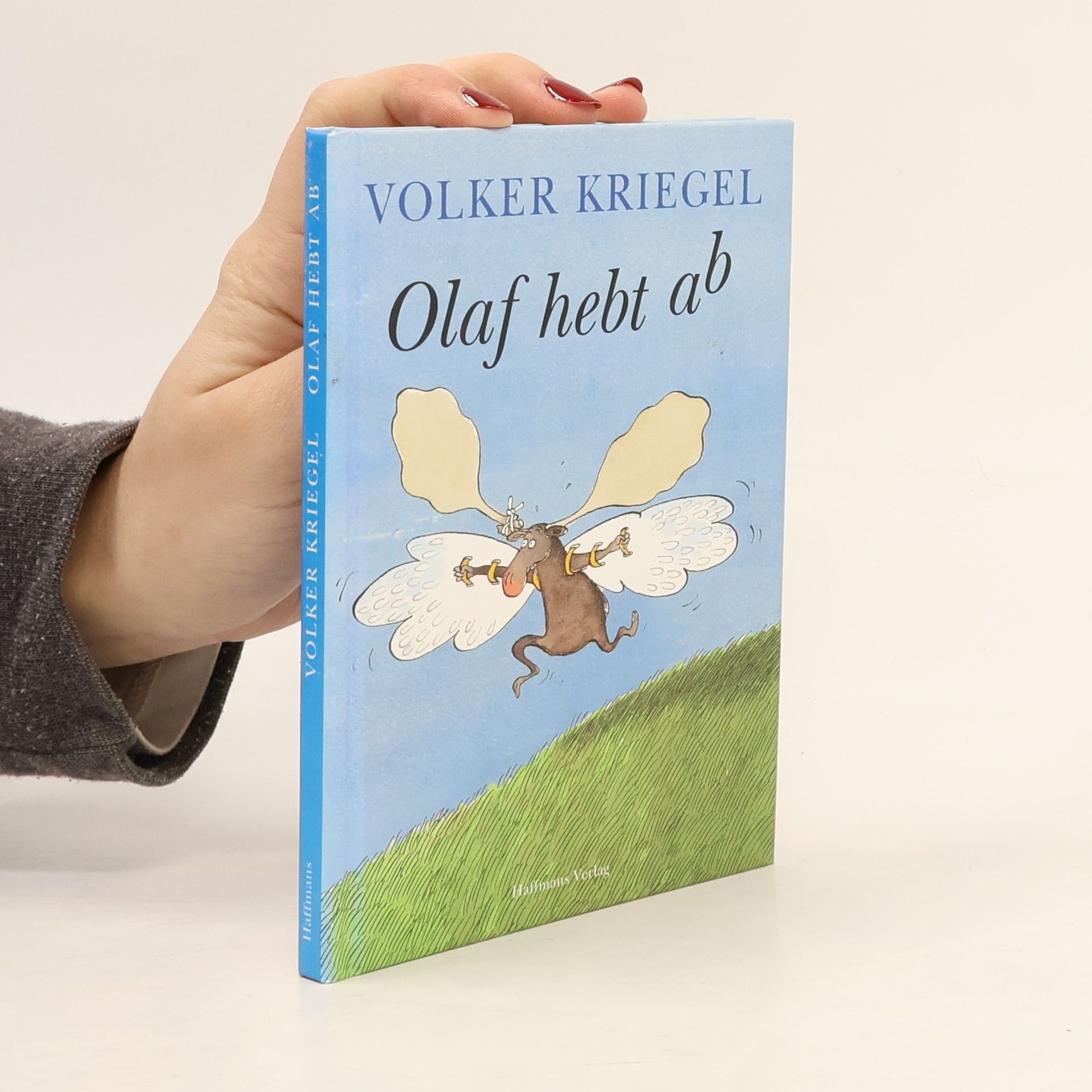 Volker Kriegel Olaf hebt ab. Eine Fliegergeschichte.