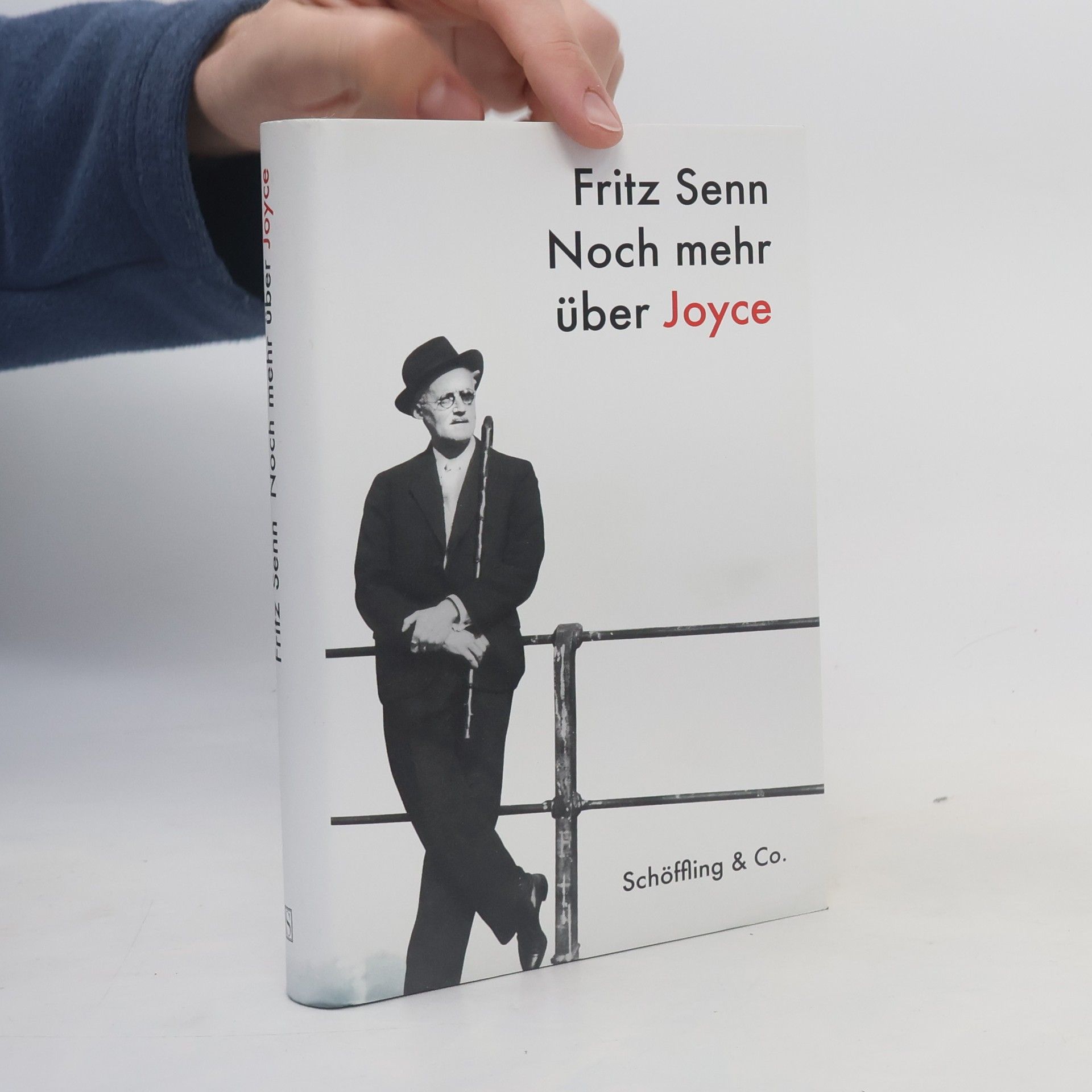 Fritz Senn Noch mehr über Joyce