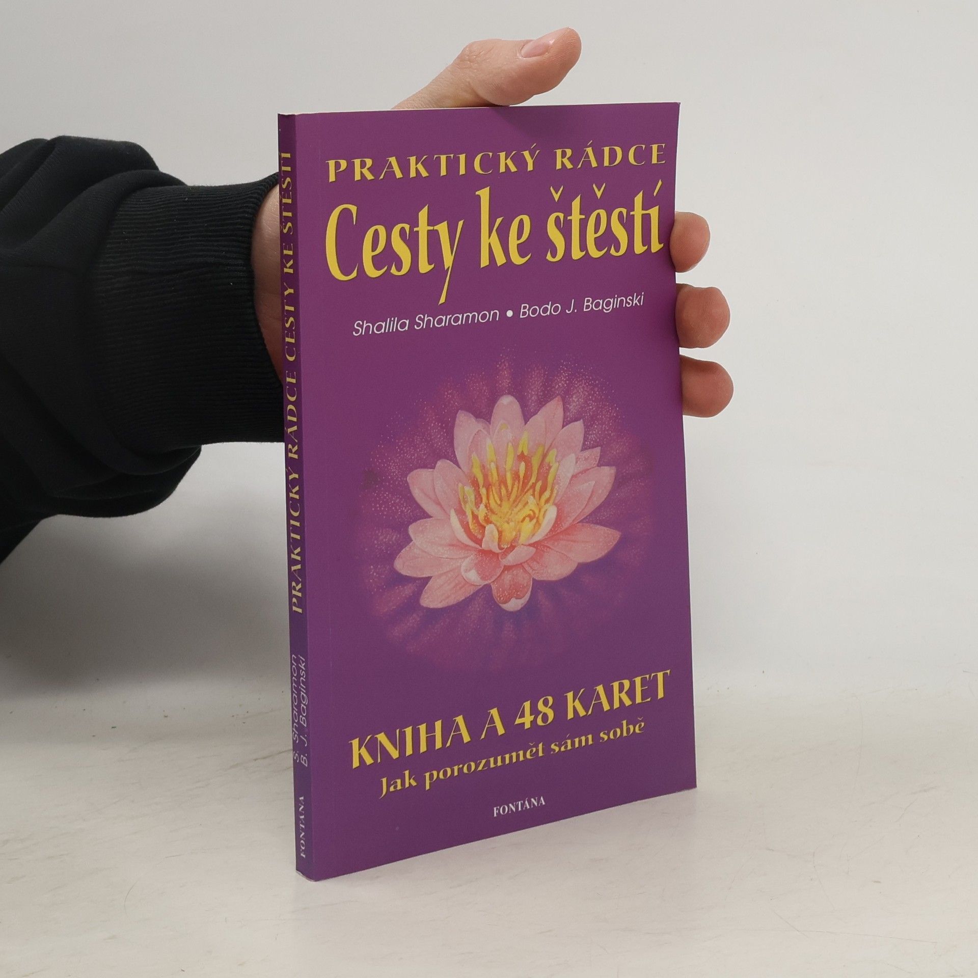 Bodo J. Baginski Praktický rádce cesty ke stěstí : jak porozumět sám sobě