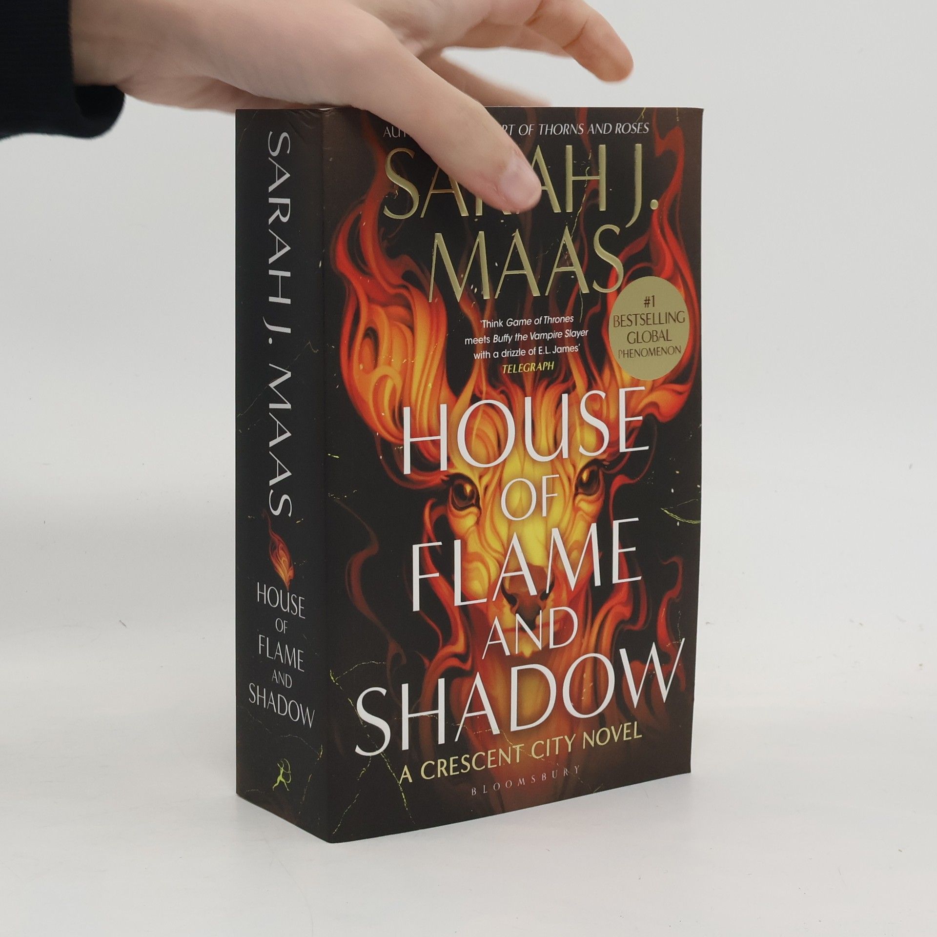 Sarah J. Maas Crescent City - 3: House of Flame and Shadow
