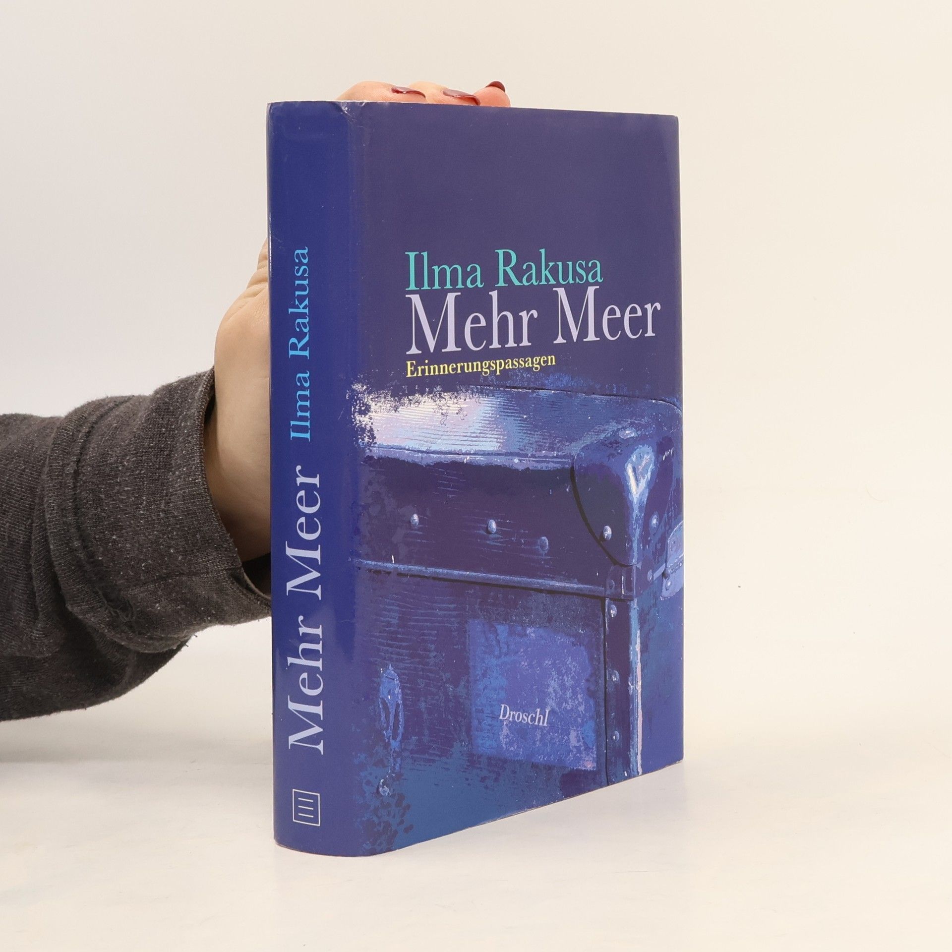Ilma Rakusa Mehr Meer