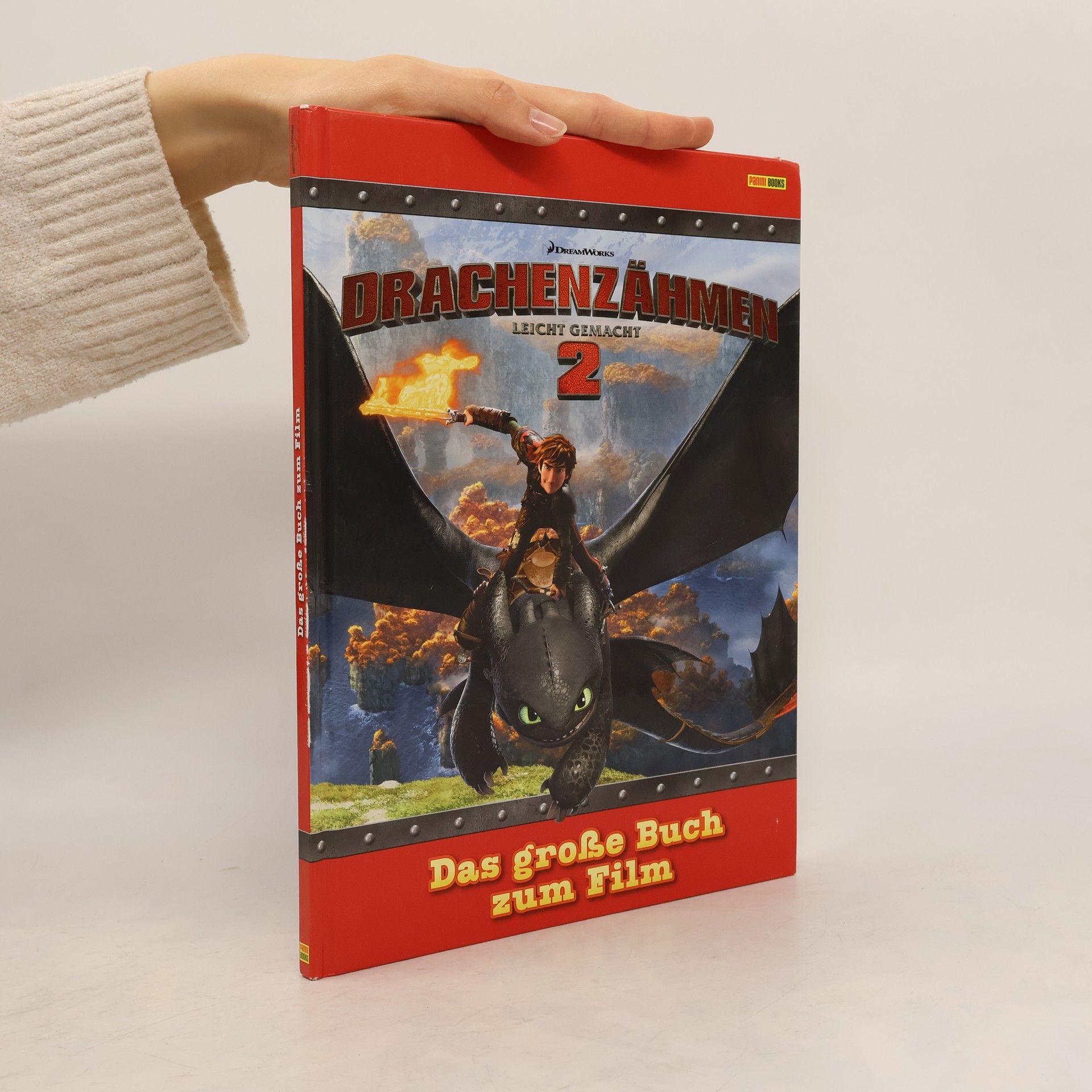 Autorenkollektiv Drachenzähmen leicht gemacht 2