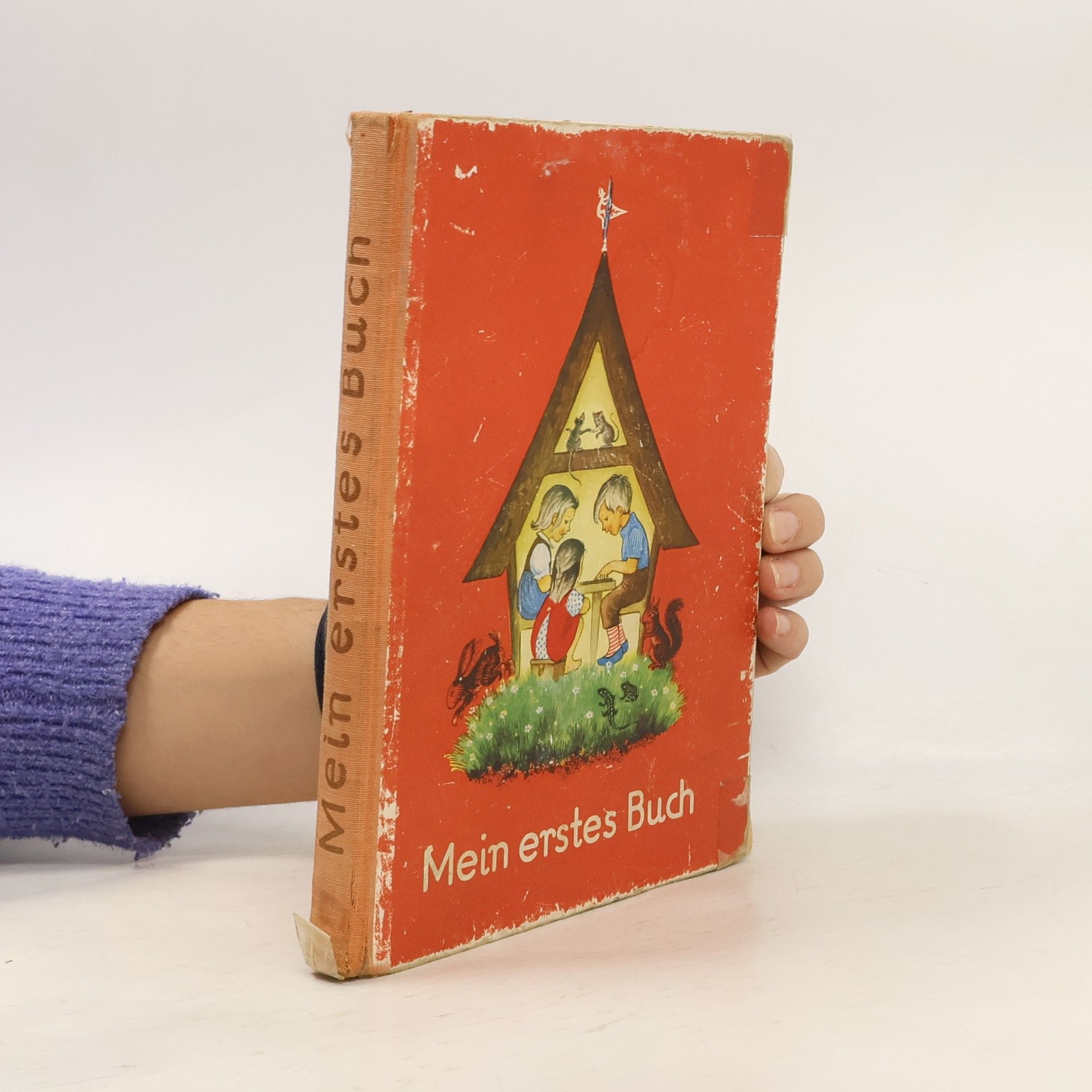 Hans Brückl Mein erstes Buch