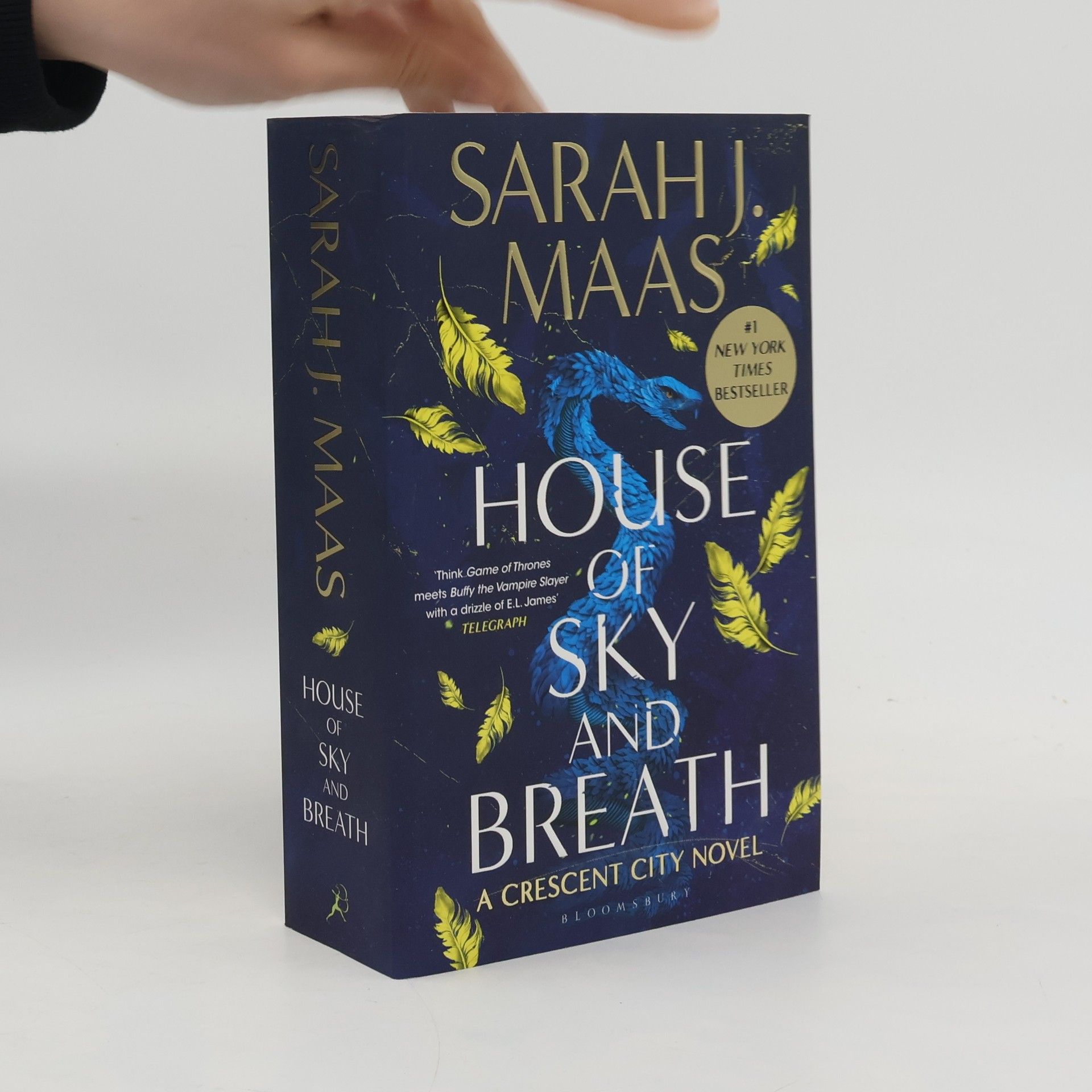 Sarah J. Maas House of Sky and Breath