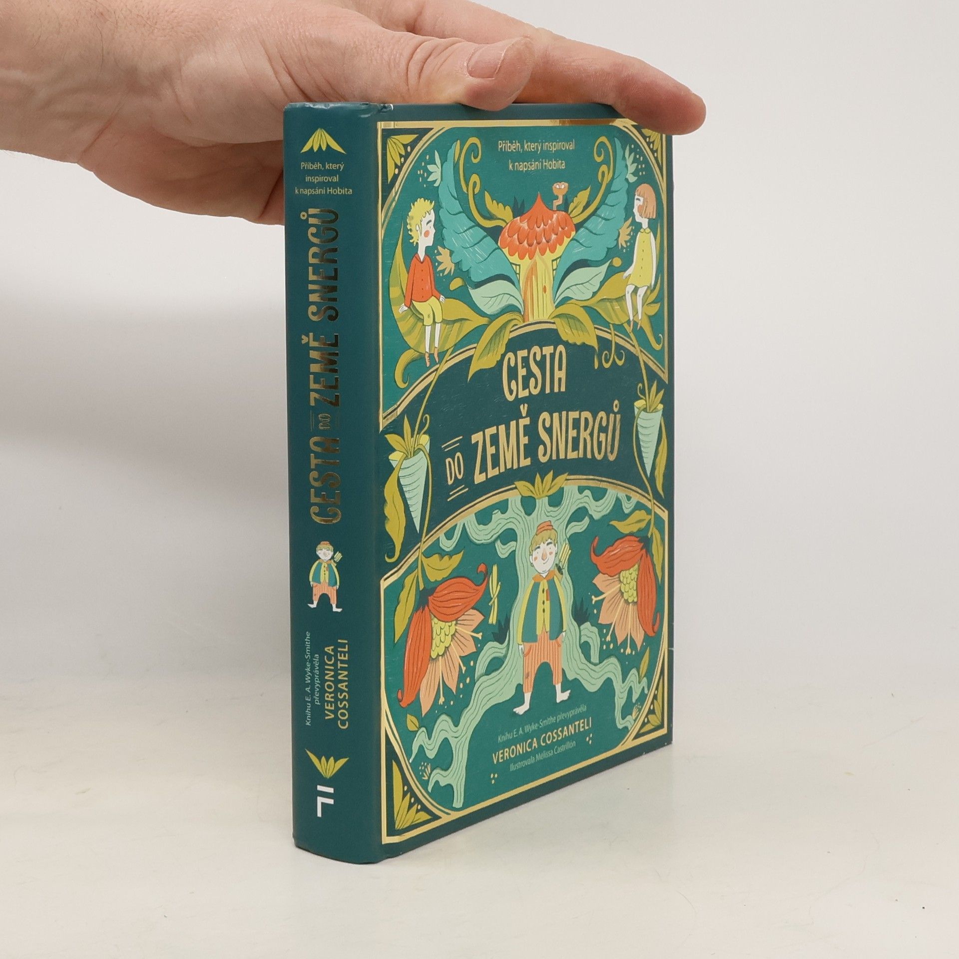 Veronica Cossanteli Cesta do země snergů