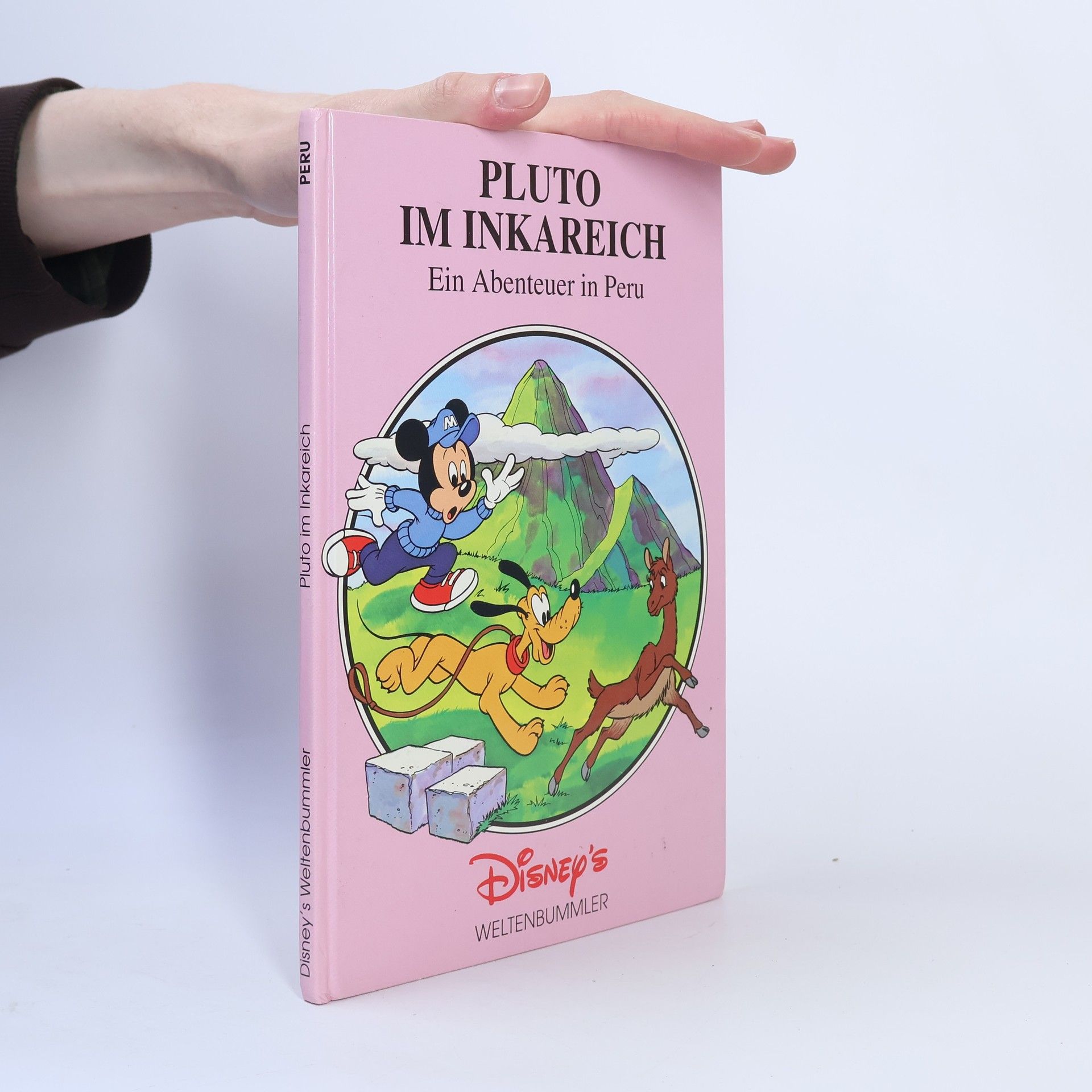 Kolektív autorov Pluto im Inkareich