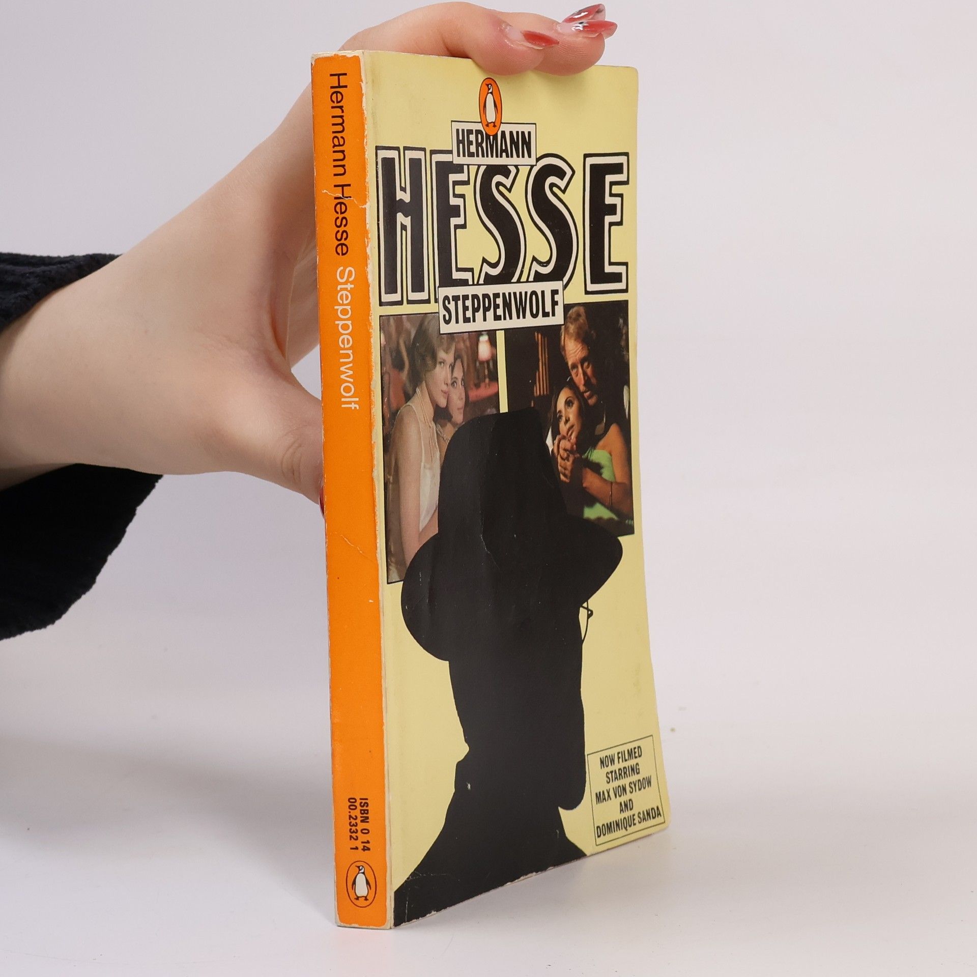 Hermann Hesse Steppenwolf