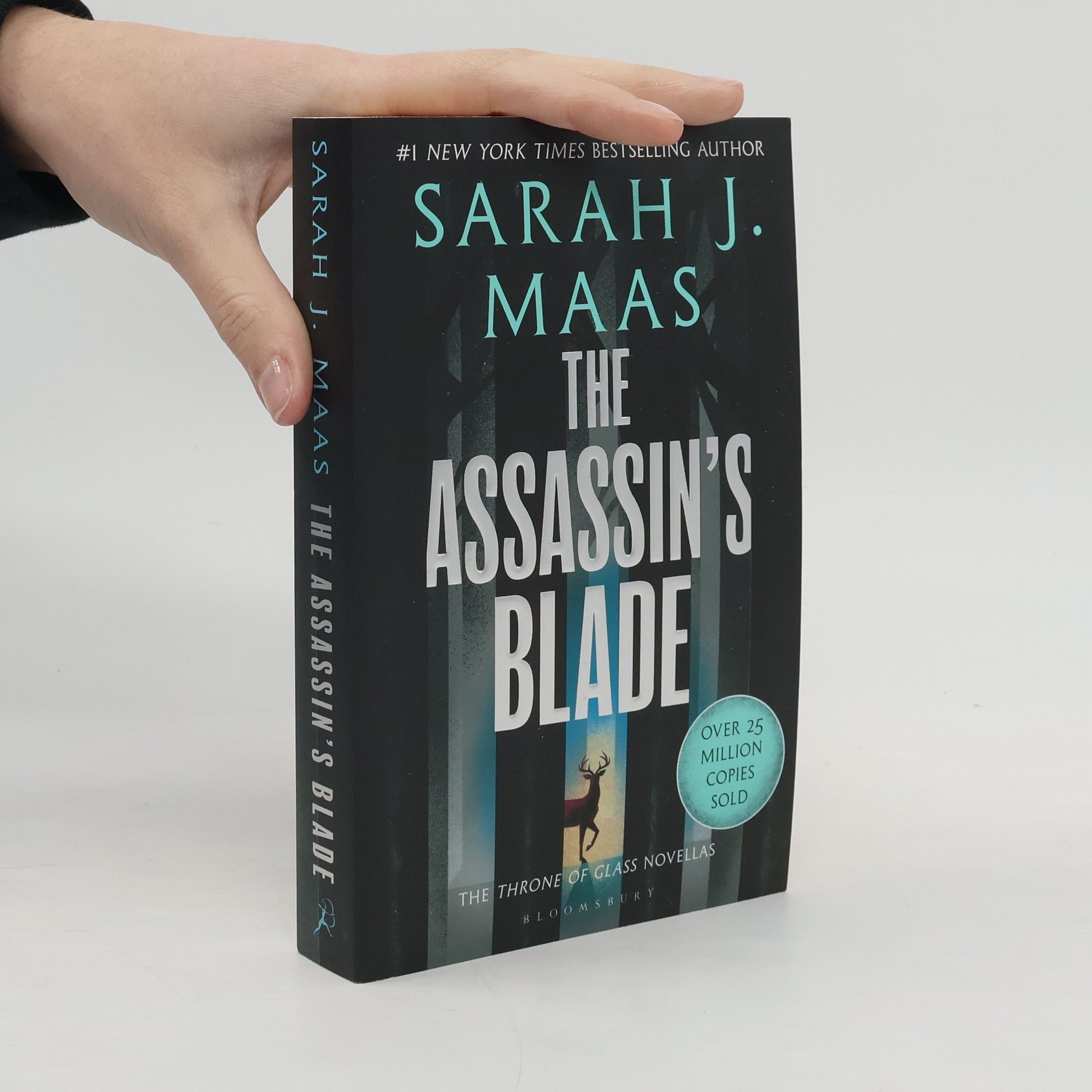 Sarah J. Maas The Assassin's Blade