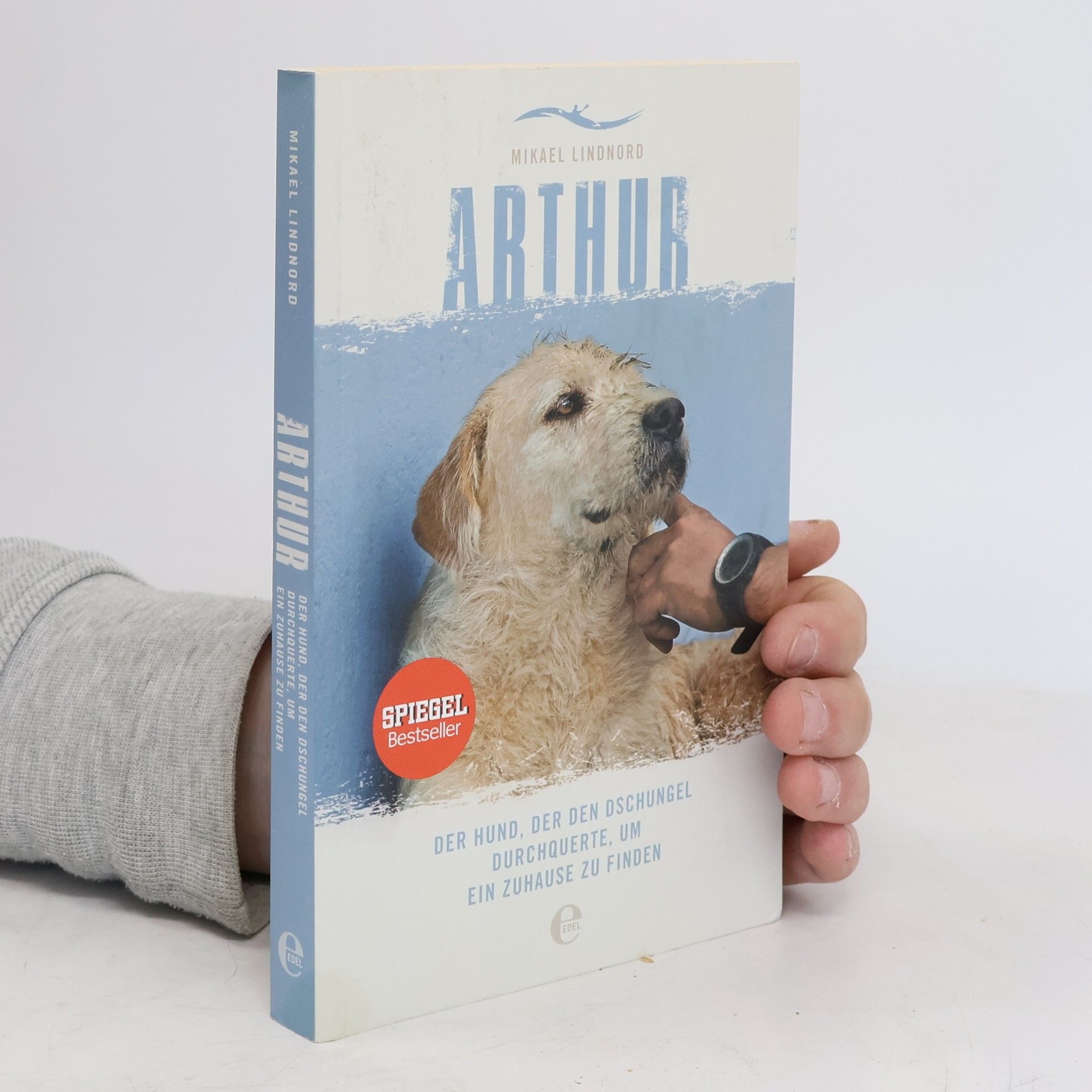 Mikael Lindnord Arthur