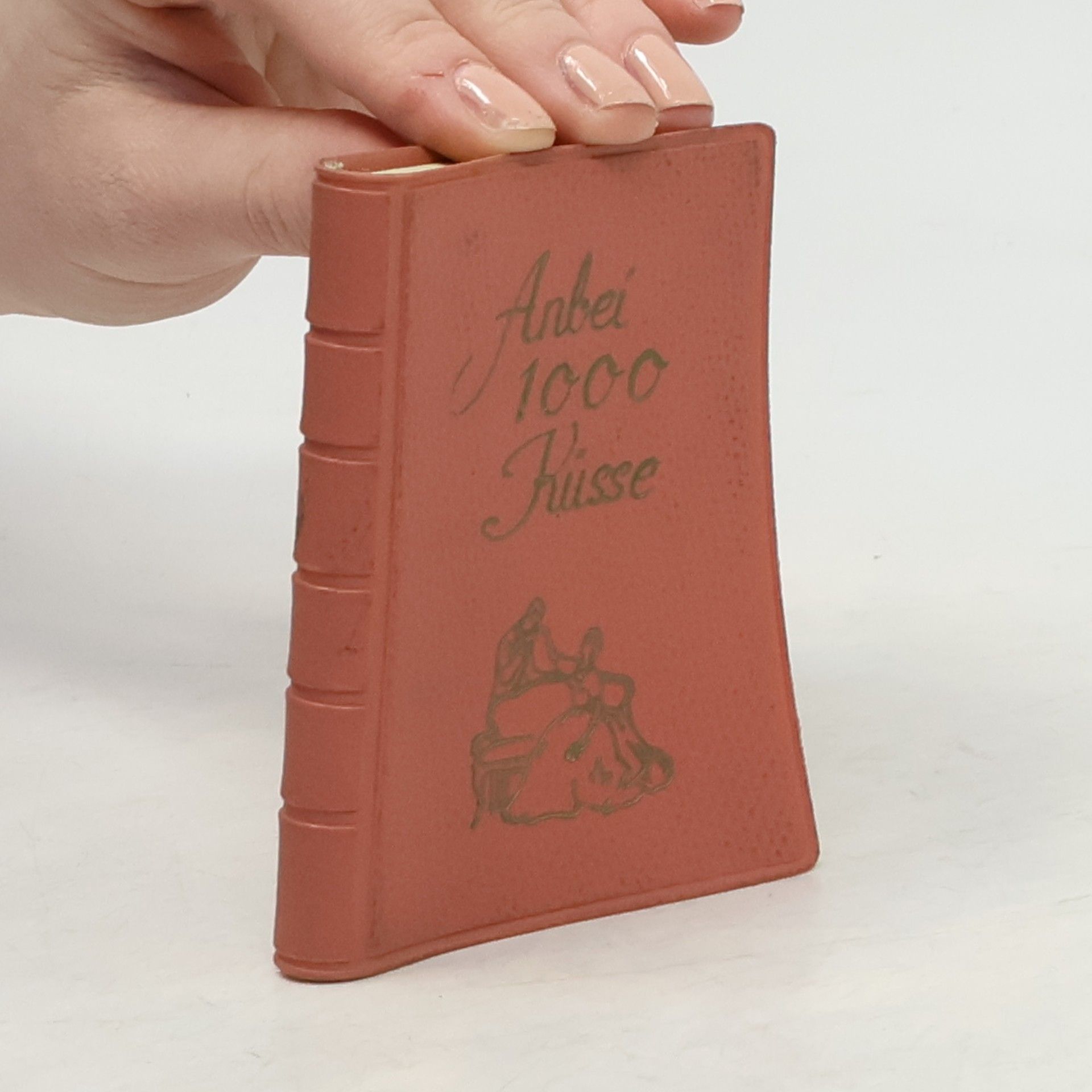 Collectif d'auteurs Anbei 1000 Küsse