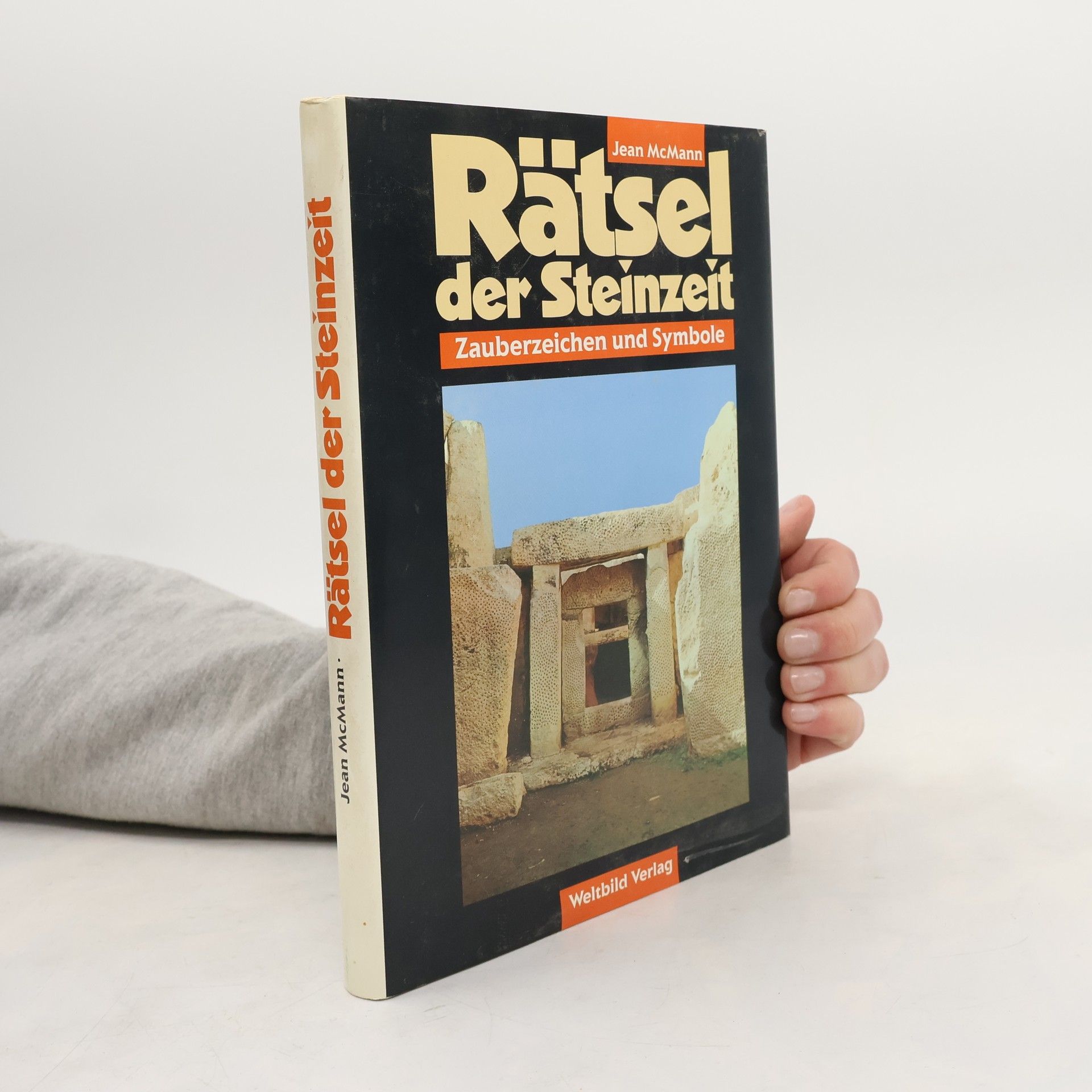 Jean McMann Rätsel der Steinzeit