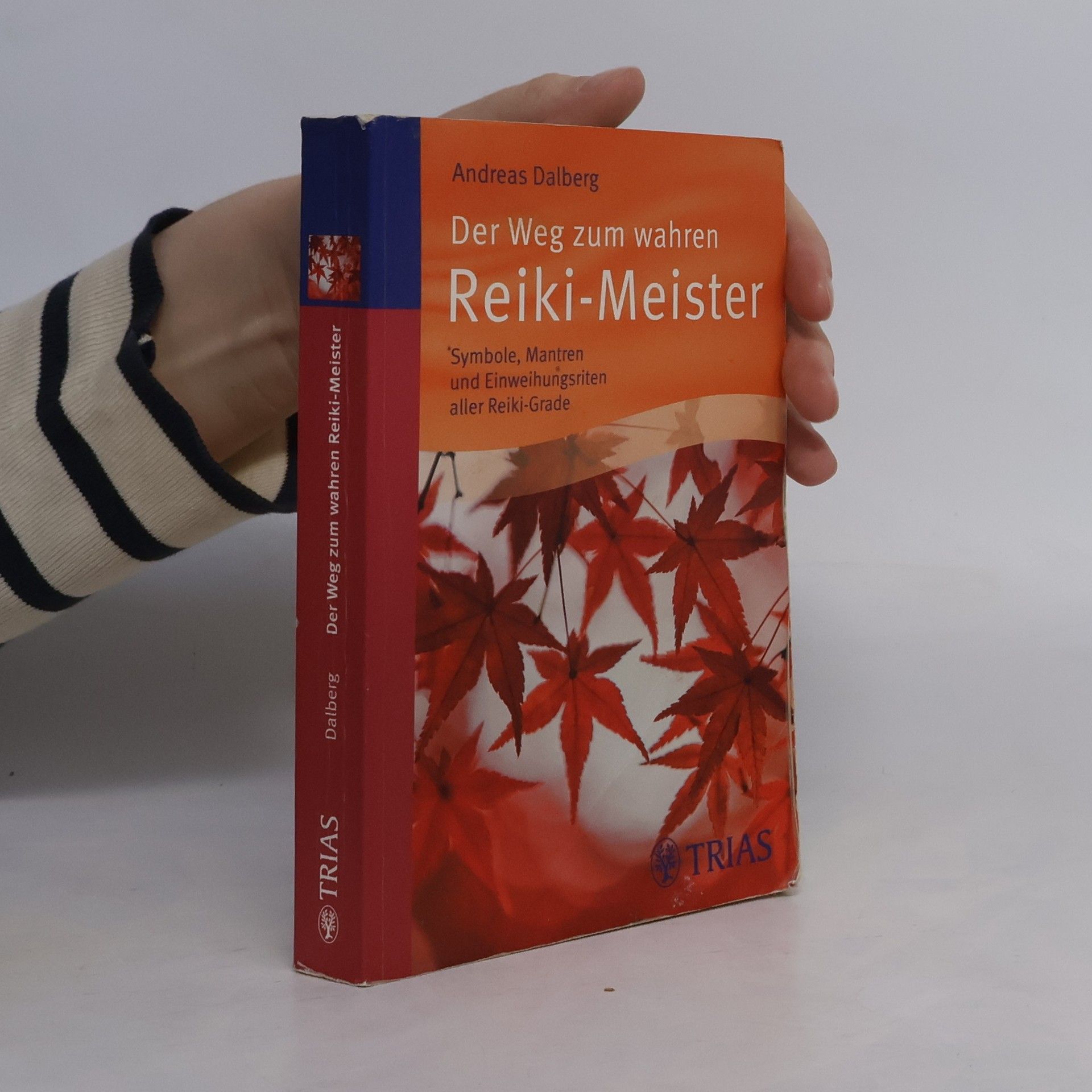 Andreas Dalberg Der Weg zum wahren reiki-Meister