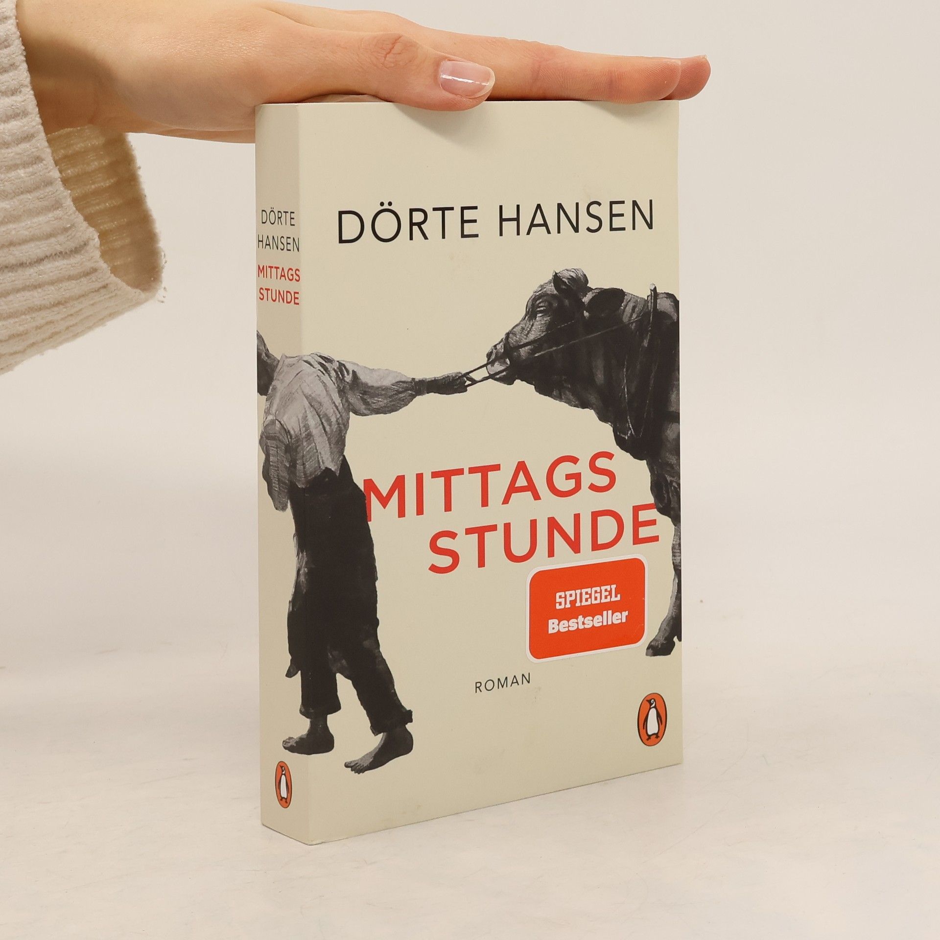 Dörte Hansen Mittagsstunde