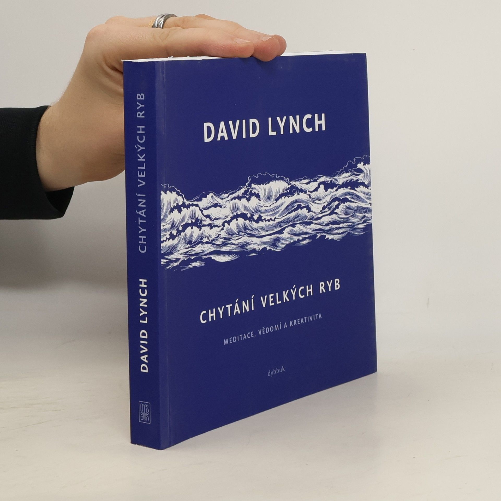 Chytání velkých ryb