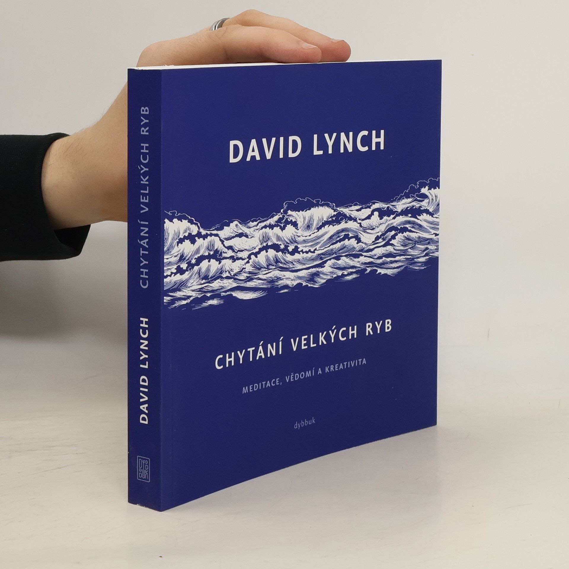 David Lynch Chytání velkých ryb