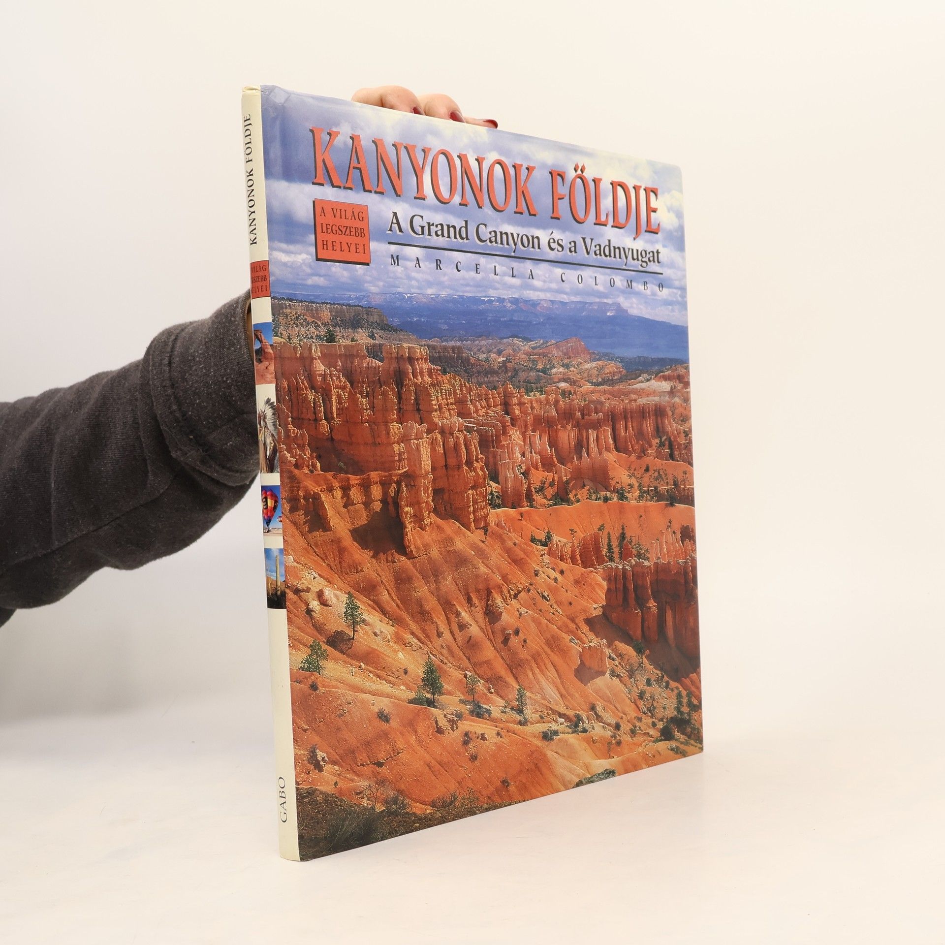 Tamás Magyarics Kanyonok földje