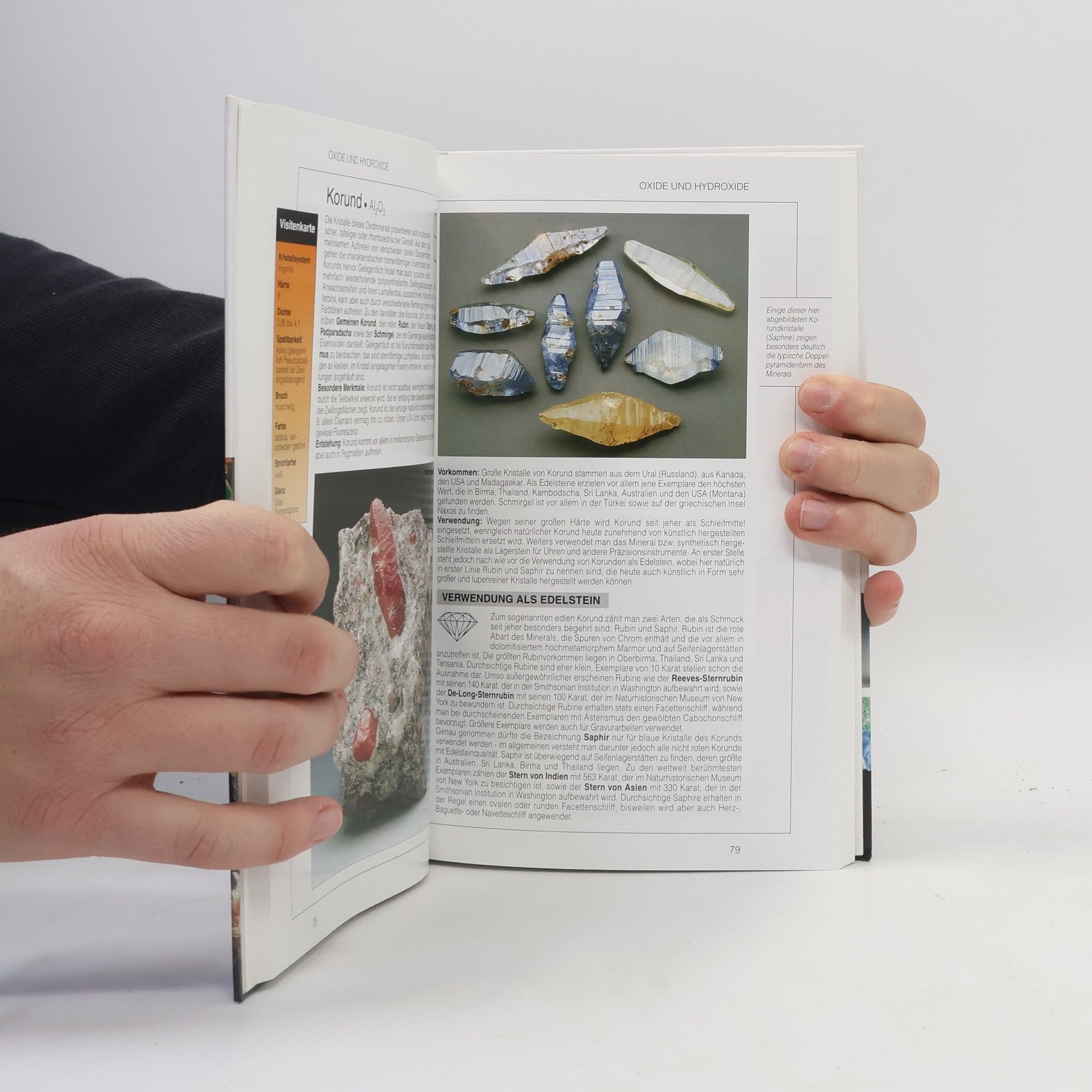 Autorenkollektiv Mineralien und Edelsteine: Ein umfassender Ratgeber zum Entdecken, Bestimmen und Sammeln von Mineralien und Edelsteinen