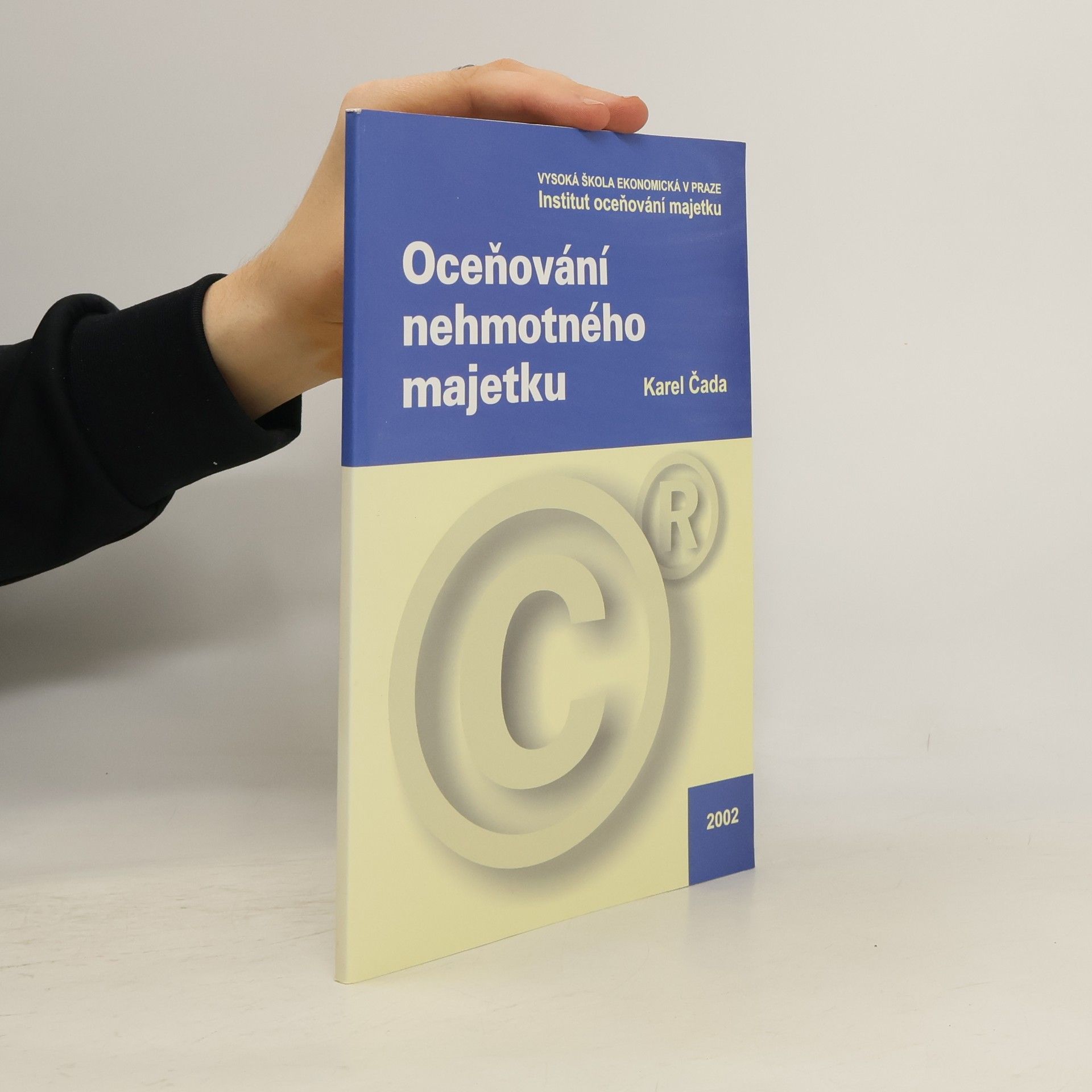 Karel Čada Oceňování nehmotného majetku