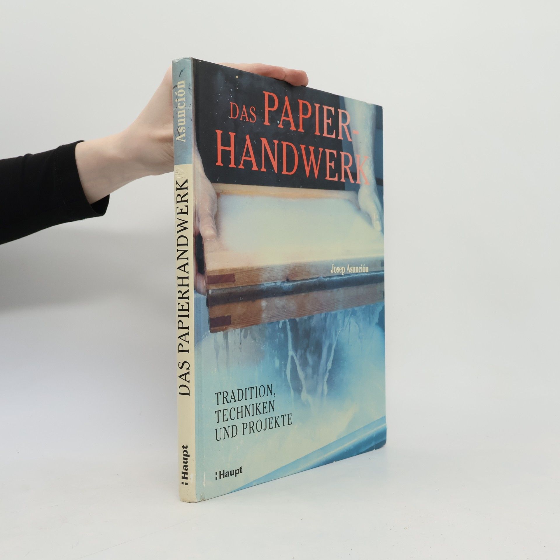 Josep Asunción Das Papierhandwerk