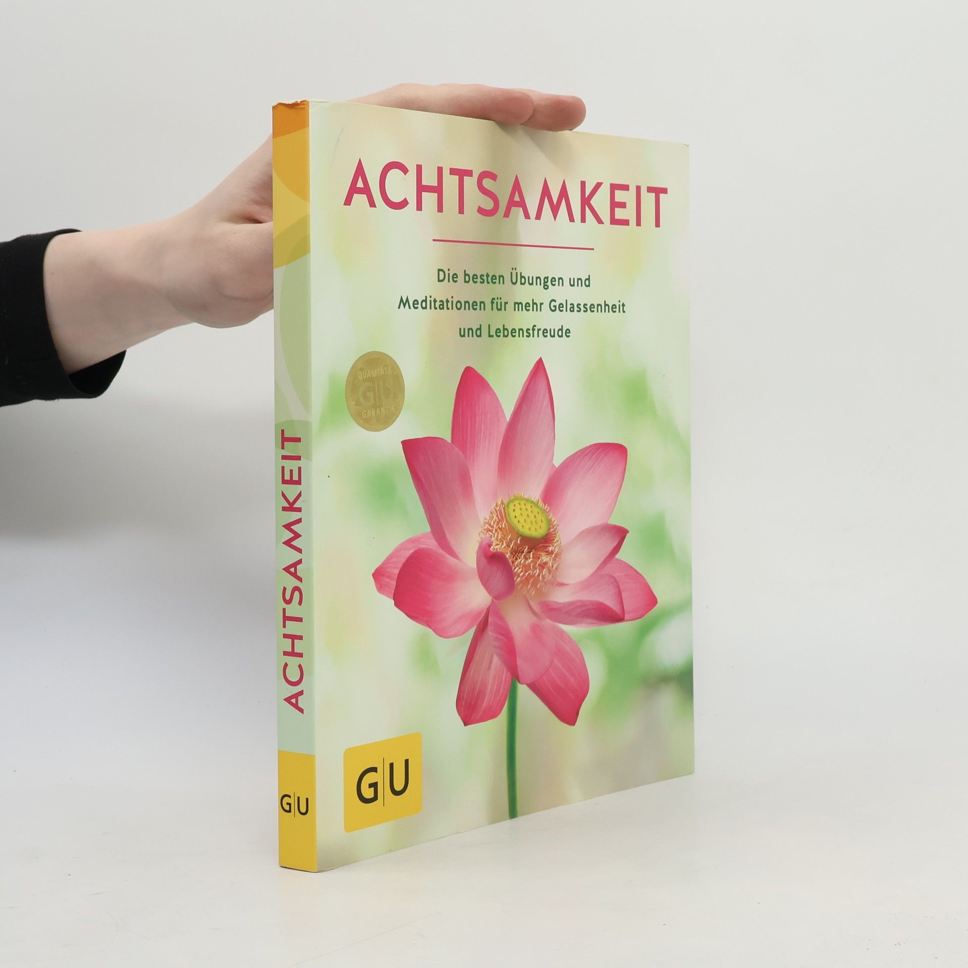 Kolektiv autorů Achtsamkeit