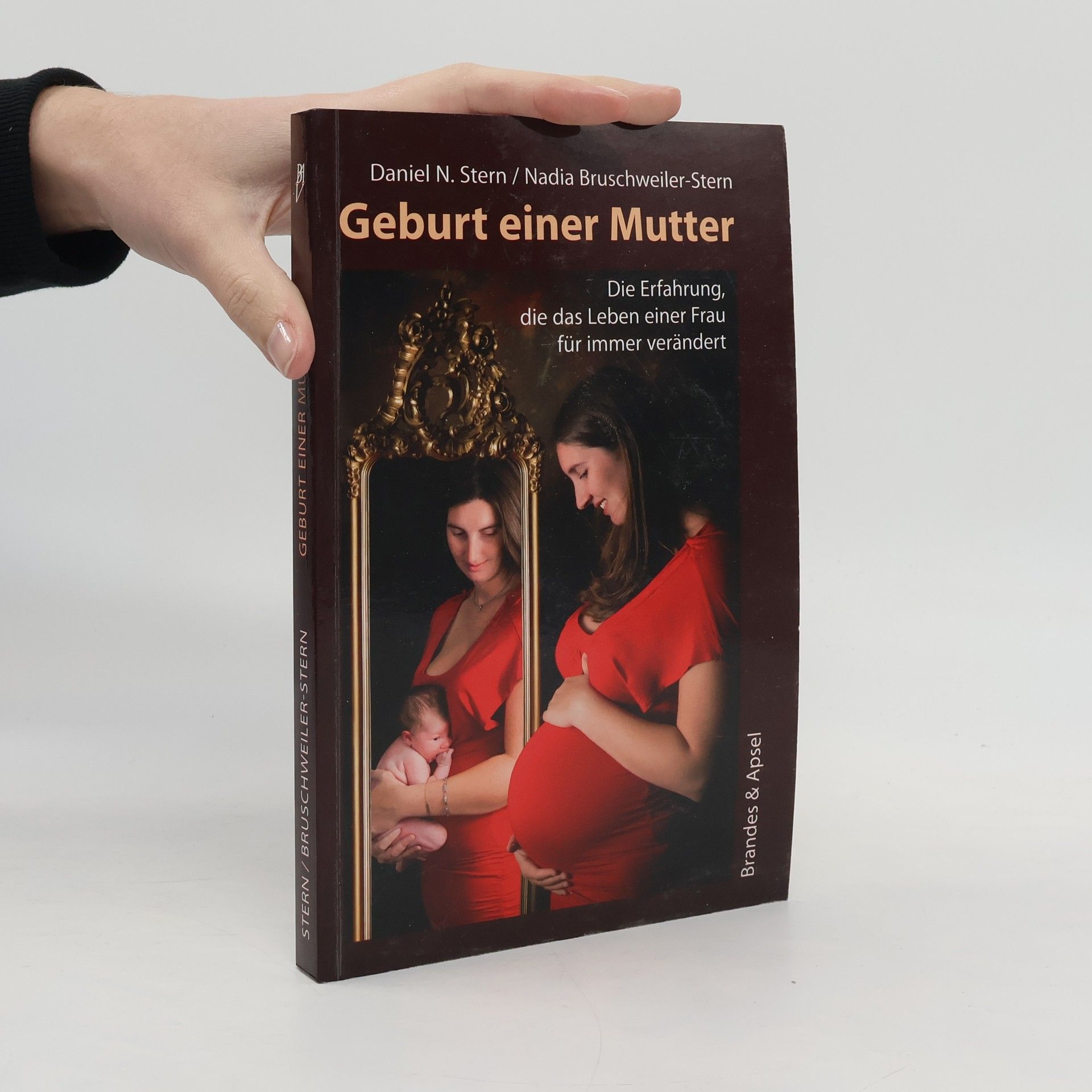 Daniel Stern Geburt einer Mutter