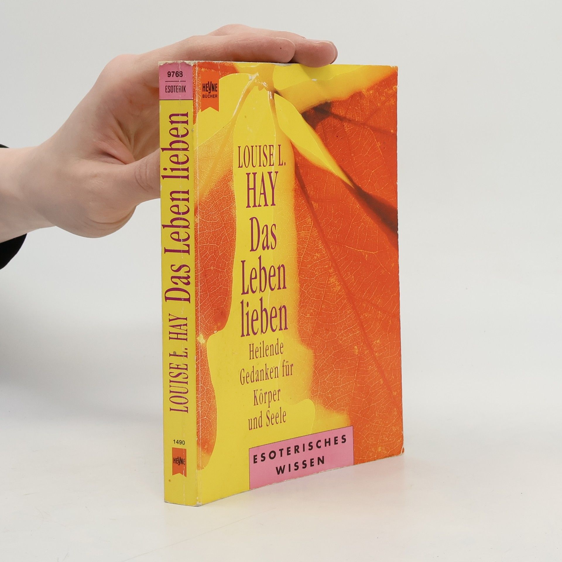 Louise Lynn Hay Das Leben lieben