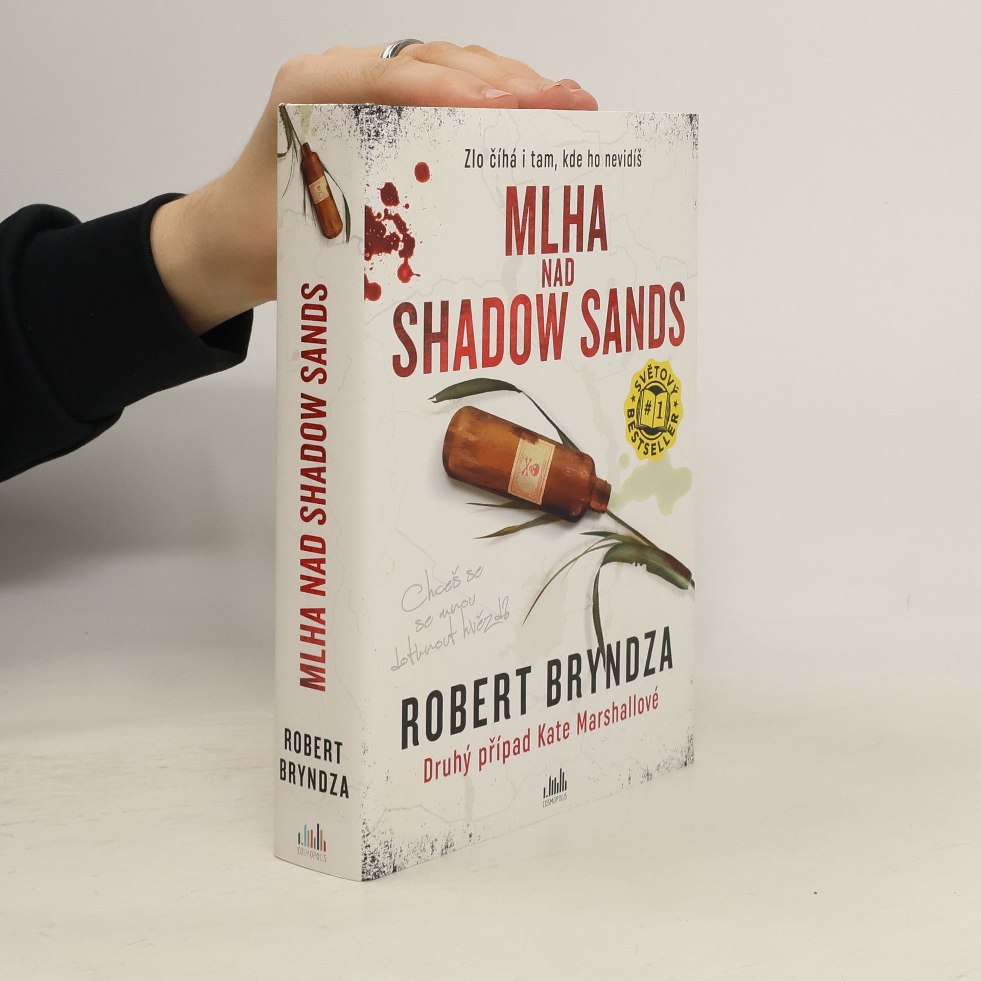 Robert Bryndza Mlha nad Shadow Sands