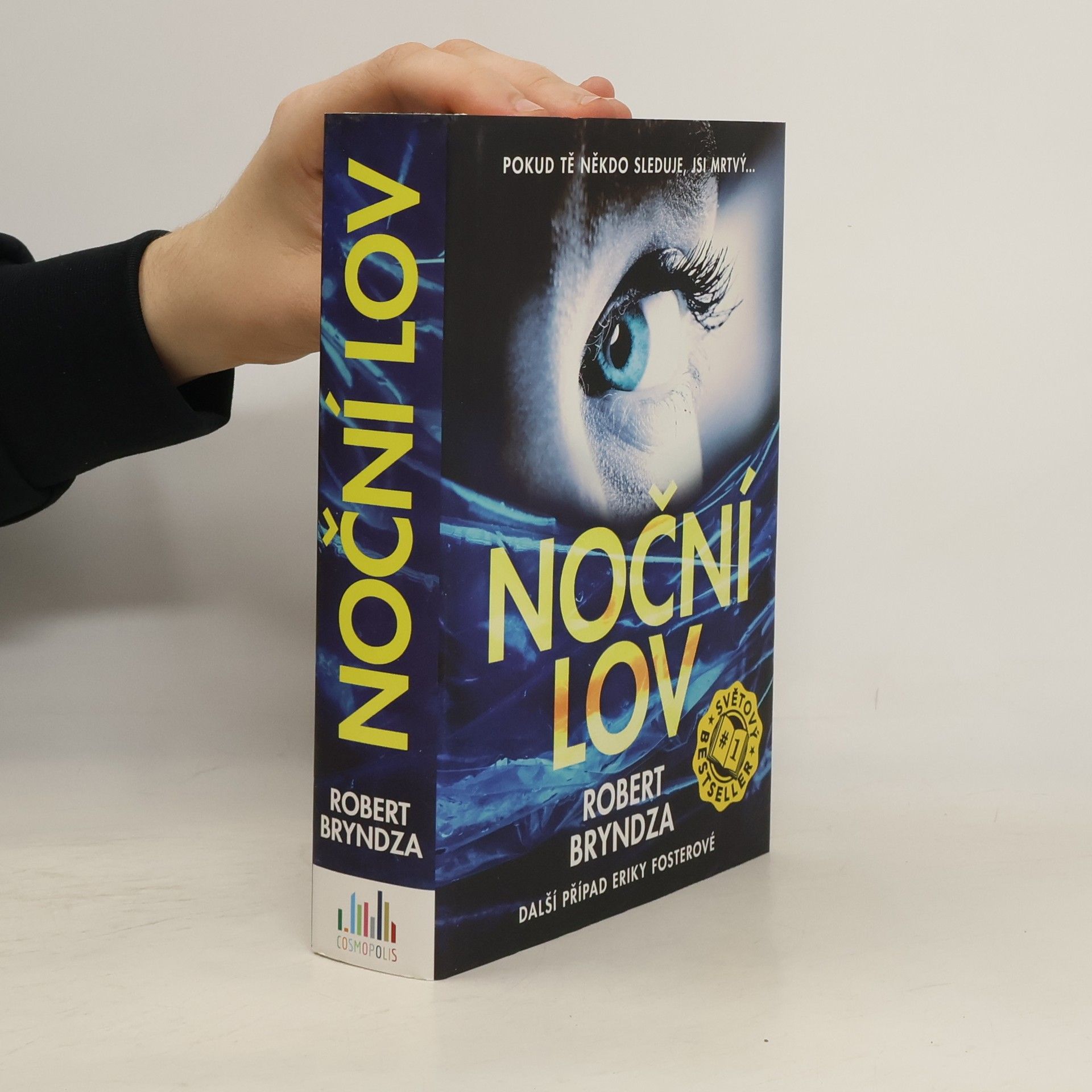 Robert Bryndza Noční lov