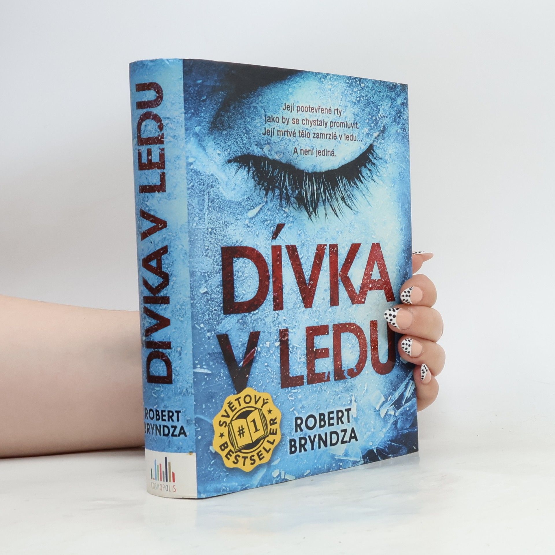 Robert Bryndza Dívka v ledu