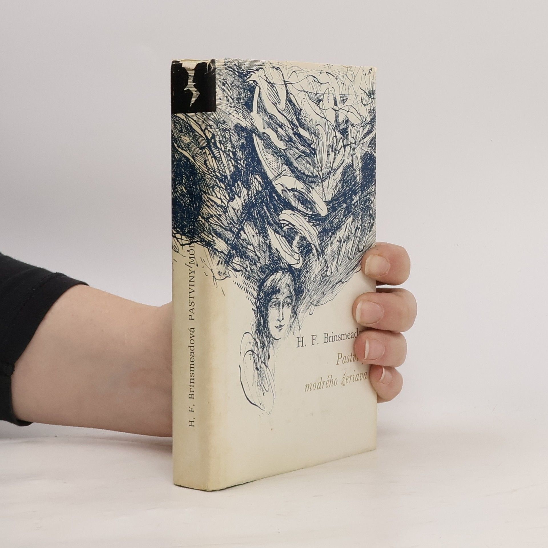 H. F. Hesba Fay Brinsmead Pastviny modrého žeriava