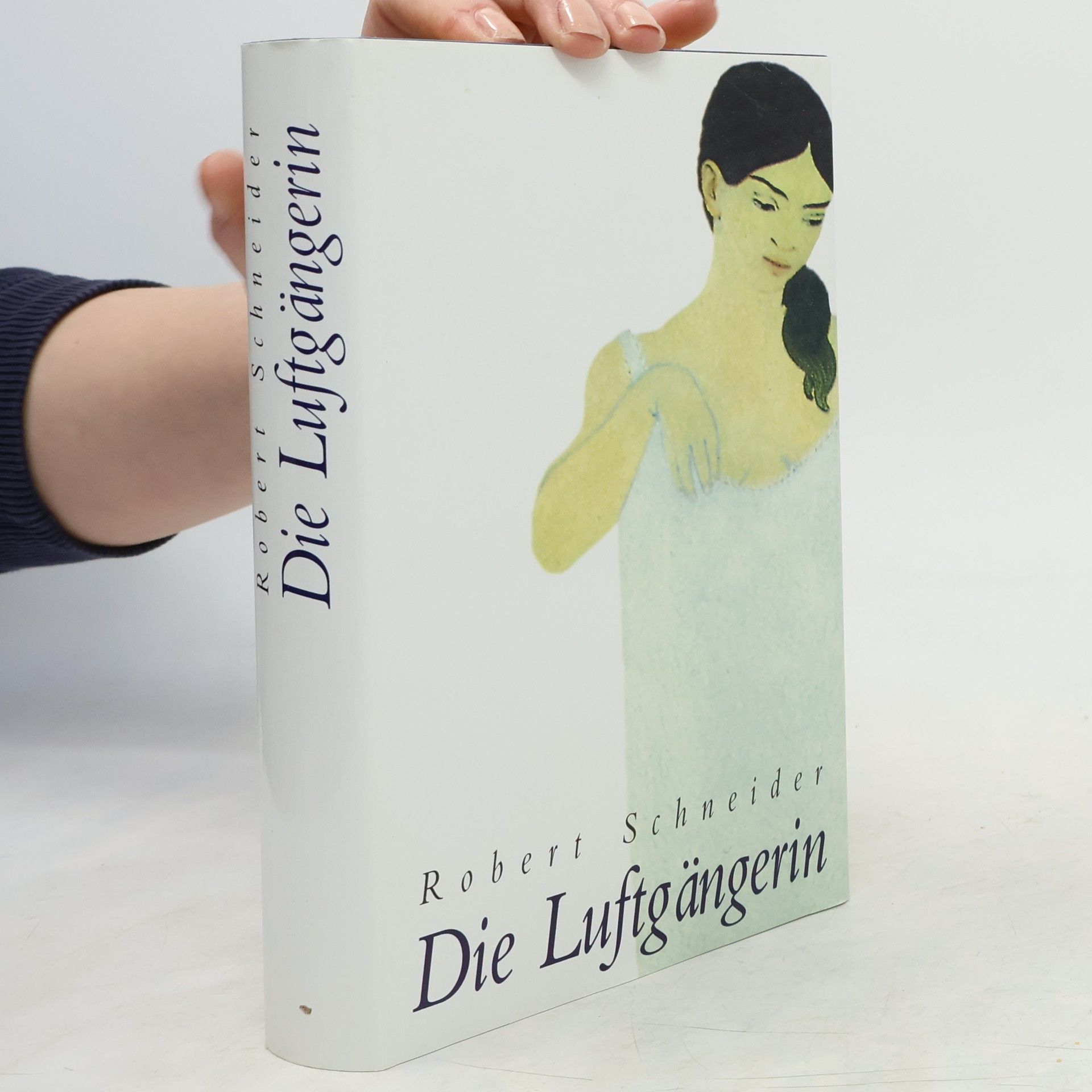 Robert Schneider Die Luftgängerin