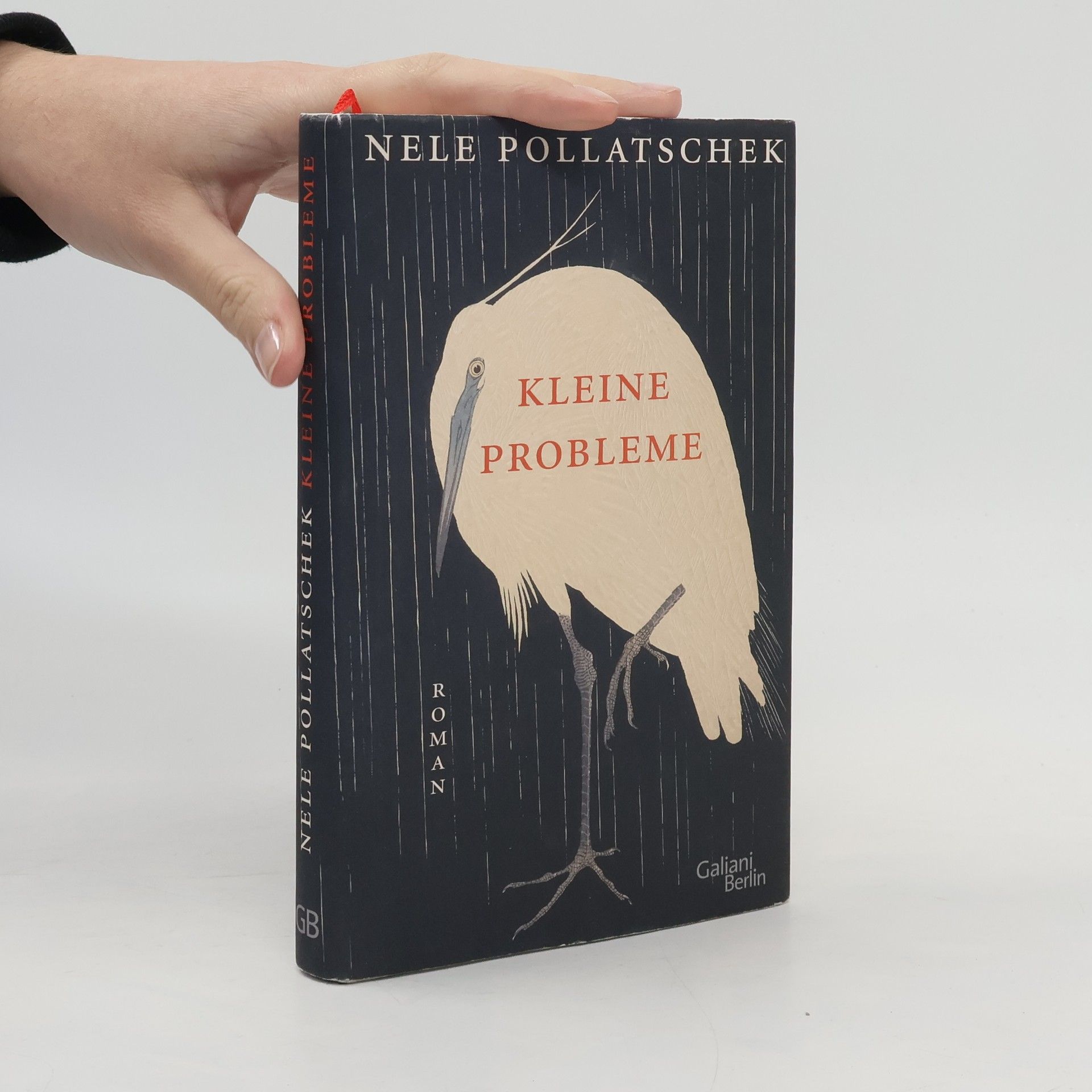 Nele Pollatschek Kleine Probleme