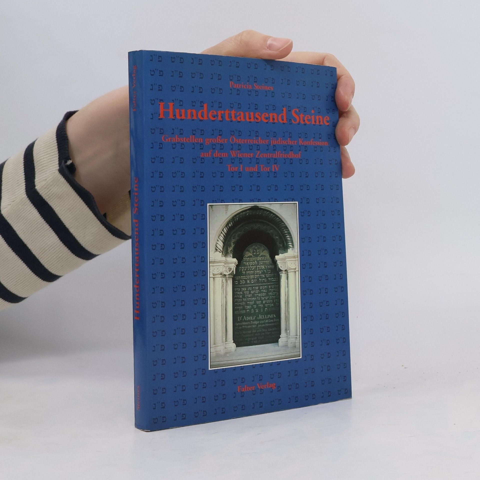 Patricia Steines Hunderttausend Steine