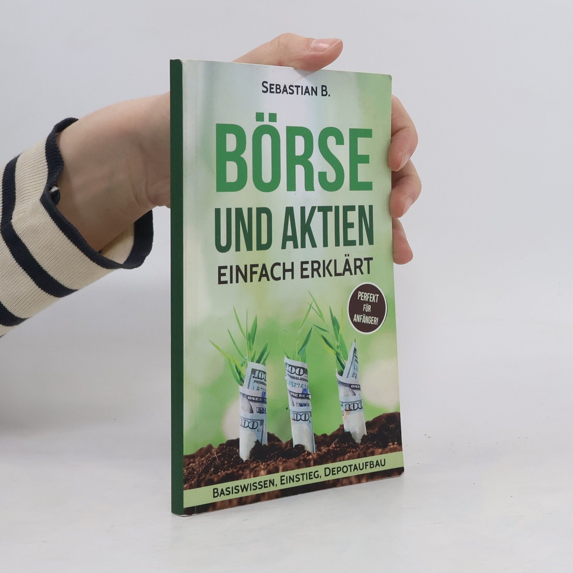 Sebastian B. Börse und Aktien einfach erklärt
