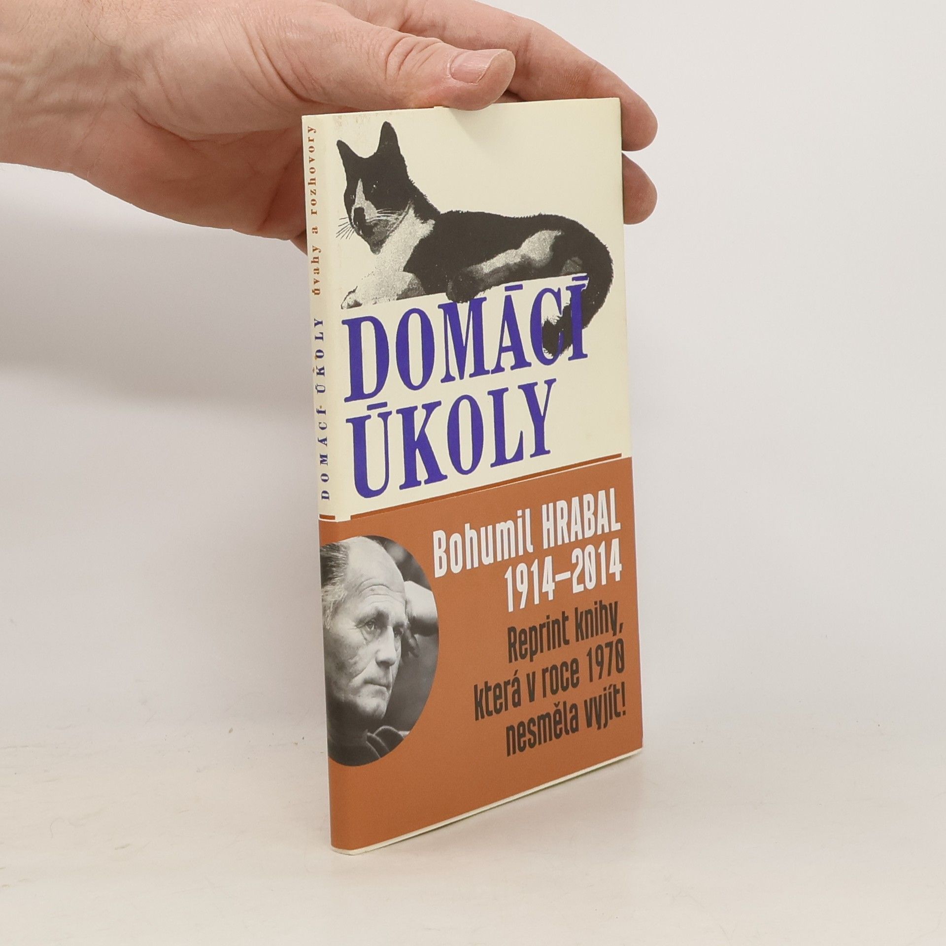 Domácí úkoly. Úvahy a rozhovory