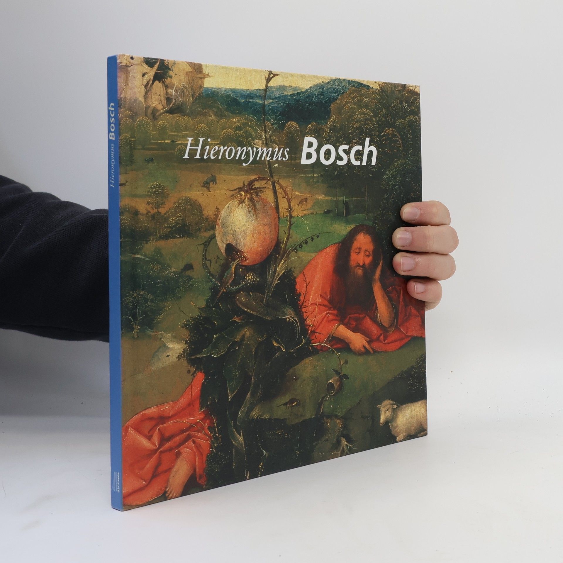 Autorenkollektiv Hieronymus Bosch