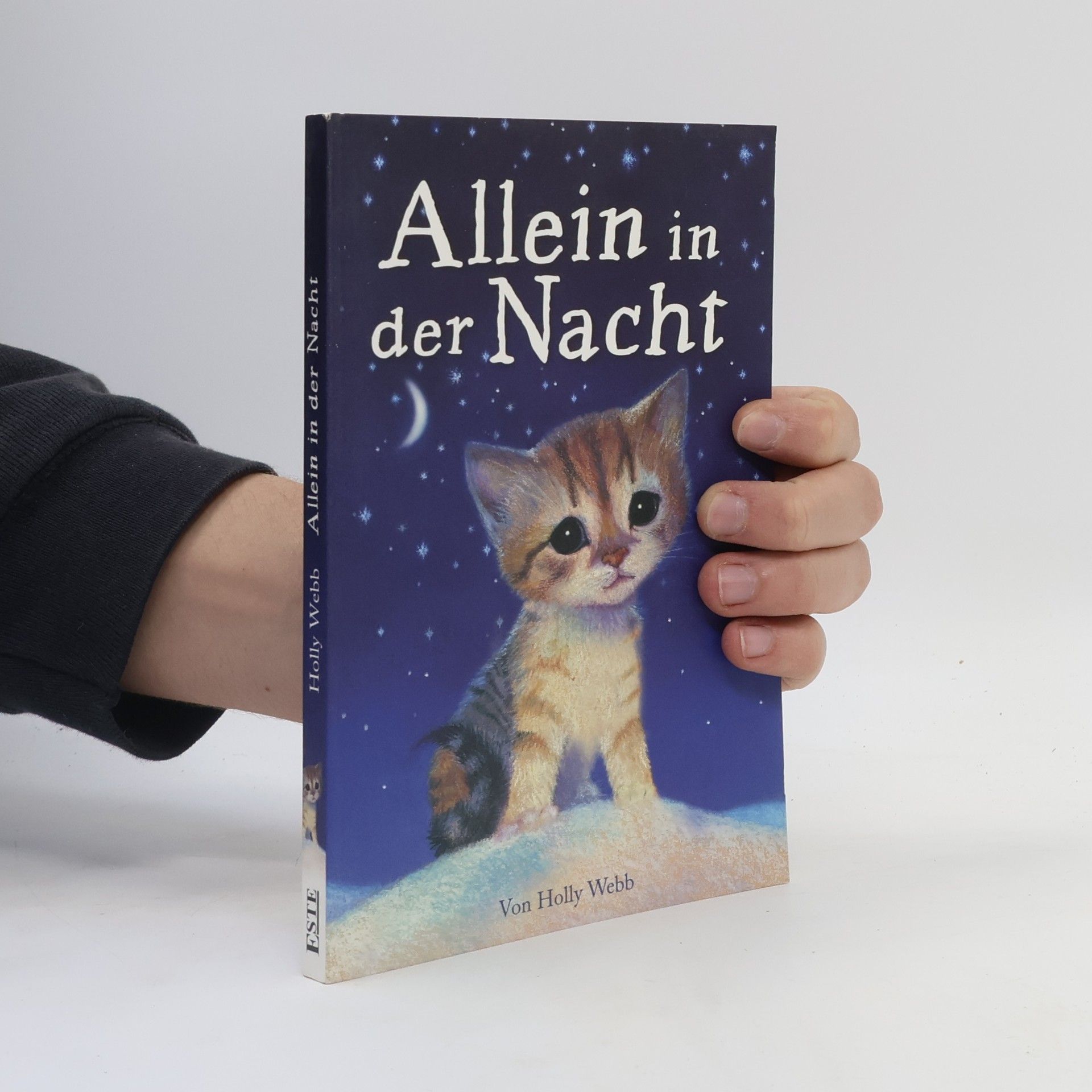 Autorenkollektiv Alleine in der Nacht