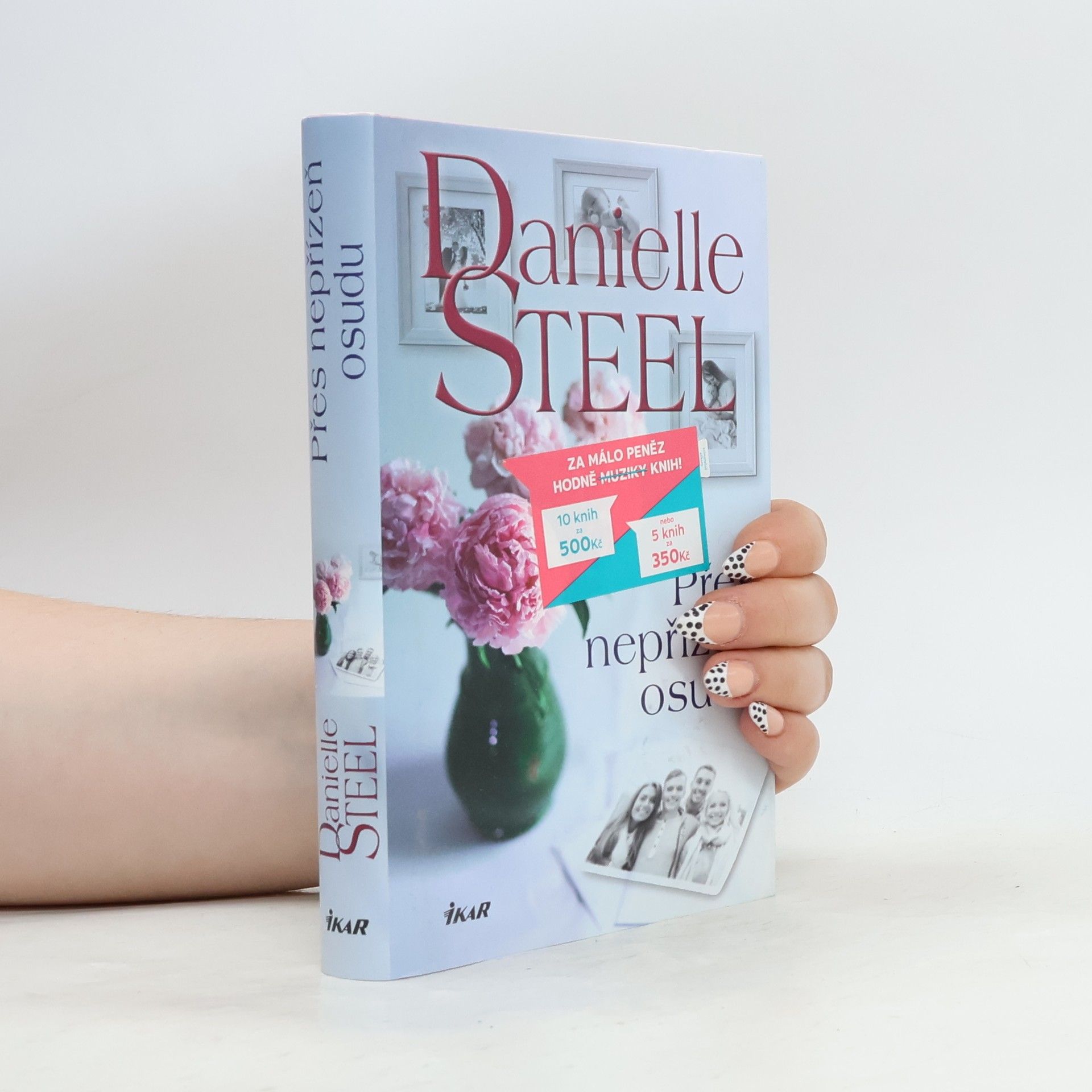 Danielle Steel Přes nepřízeň osudu