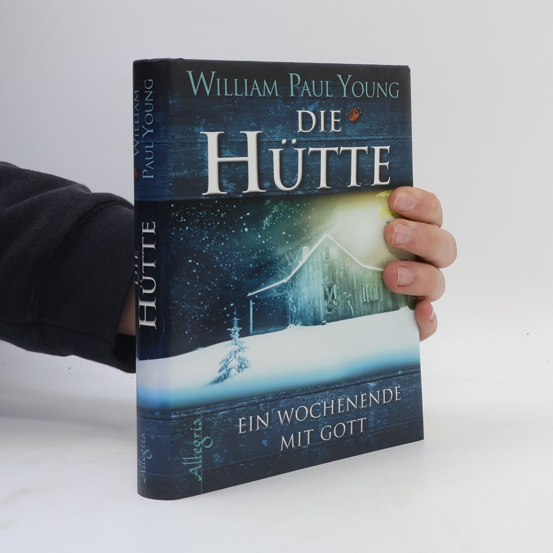 William P. Young Die Hütte