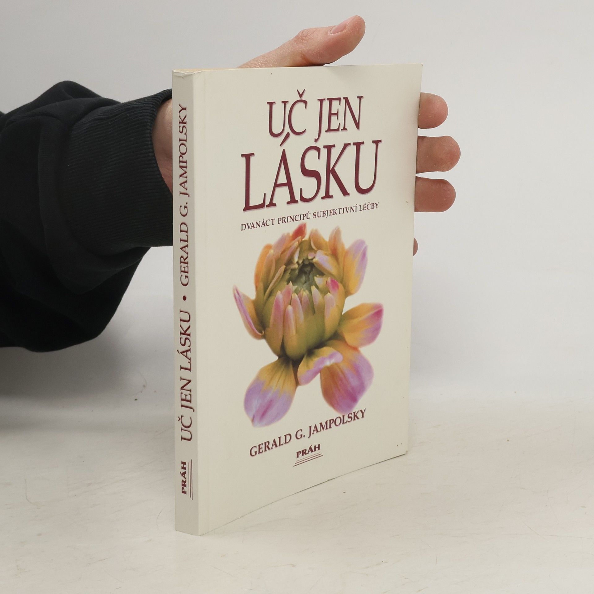 Uč jen lásku. Dvanáct principů subjektivní léčby