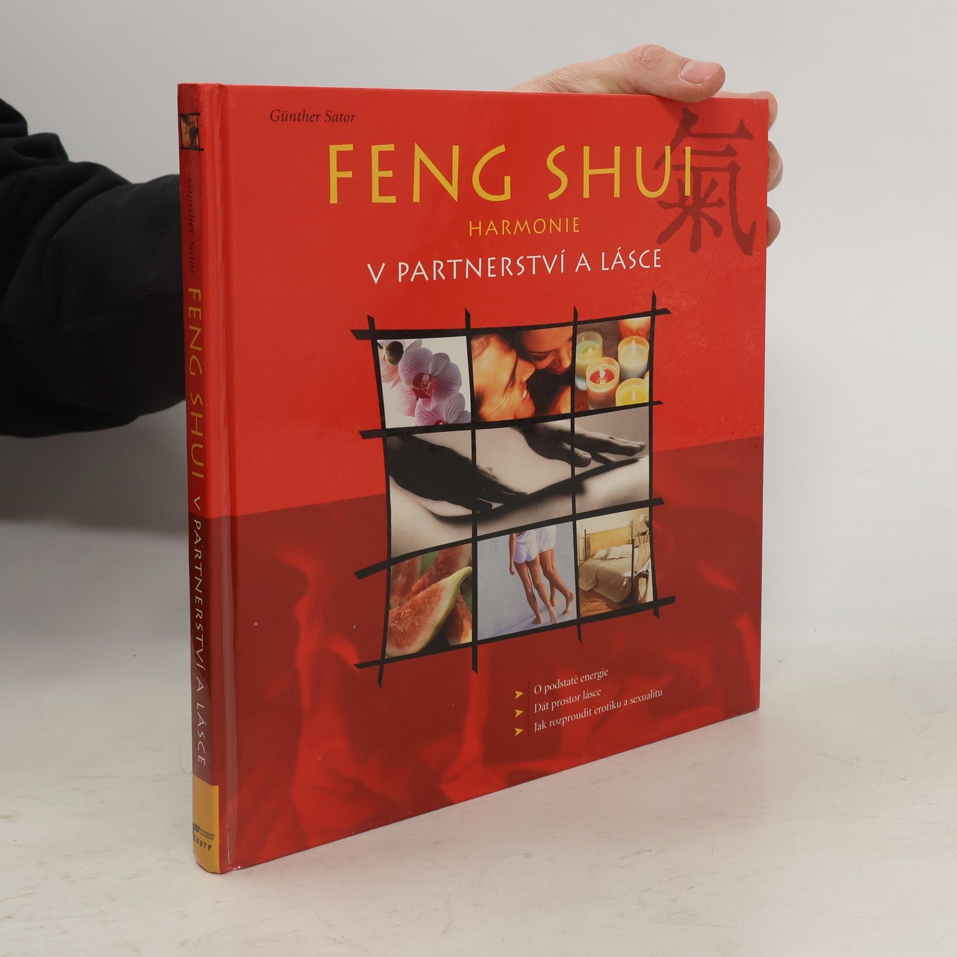 Günther Sator Feng shui. Harmonie v partnerství a lásce