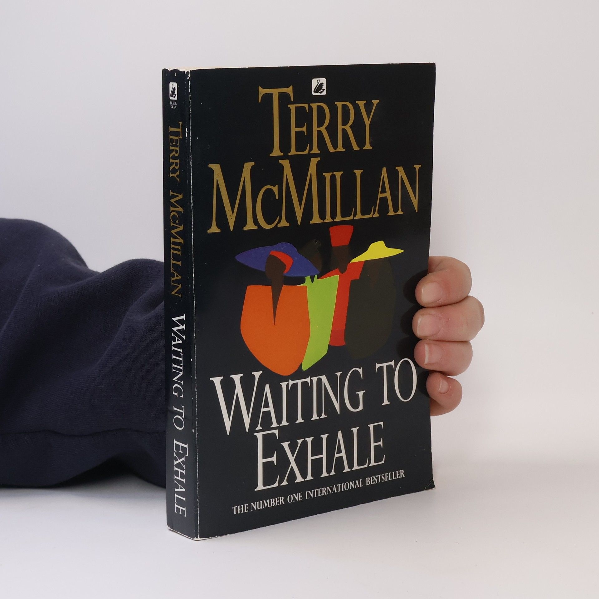 Terry McMillan Waiting to Exhale