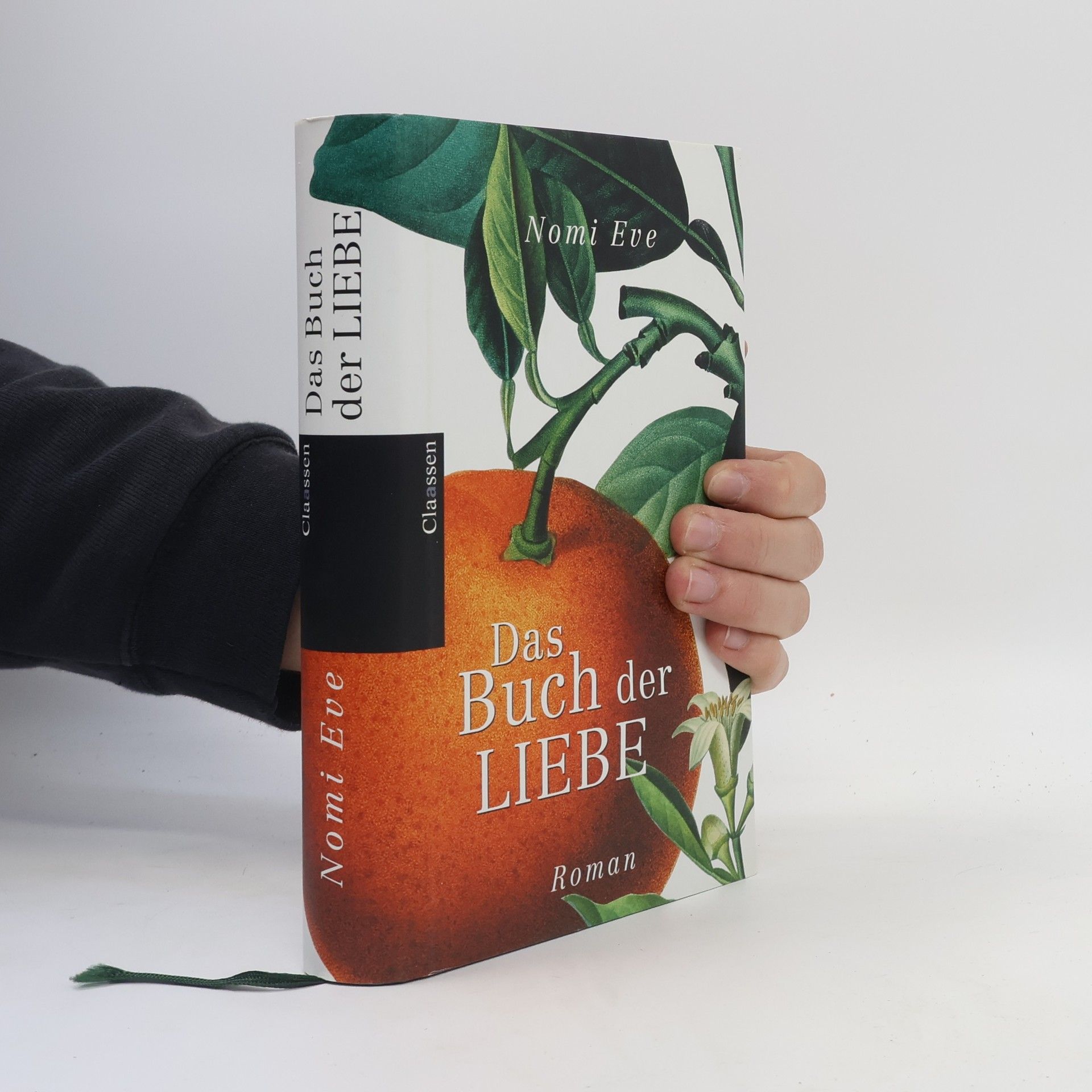 Nomi Eve Das Buch der Liebe