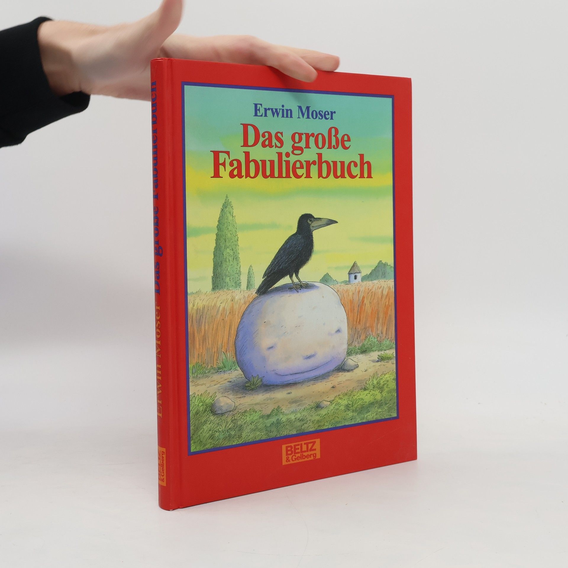 Kate Saunders Achtung, die Hexen vom Glockenturm!